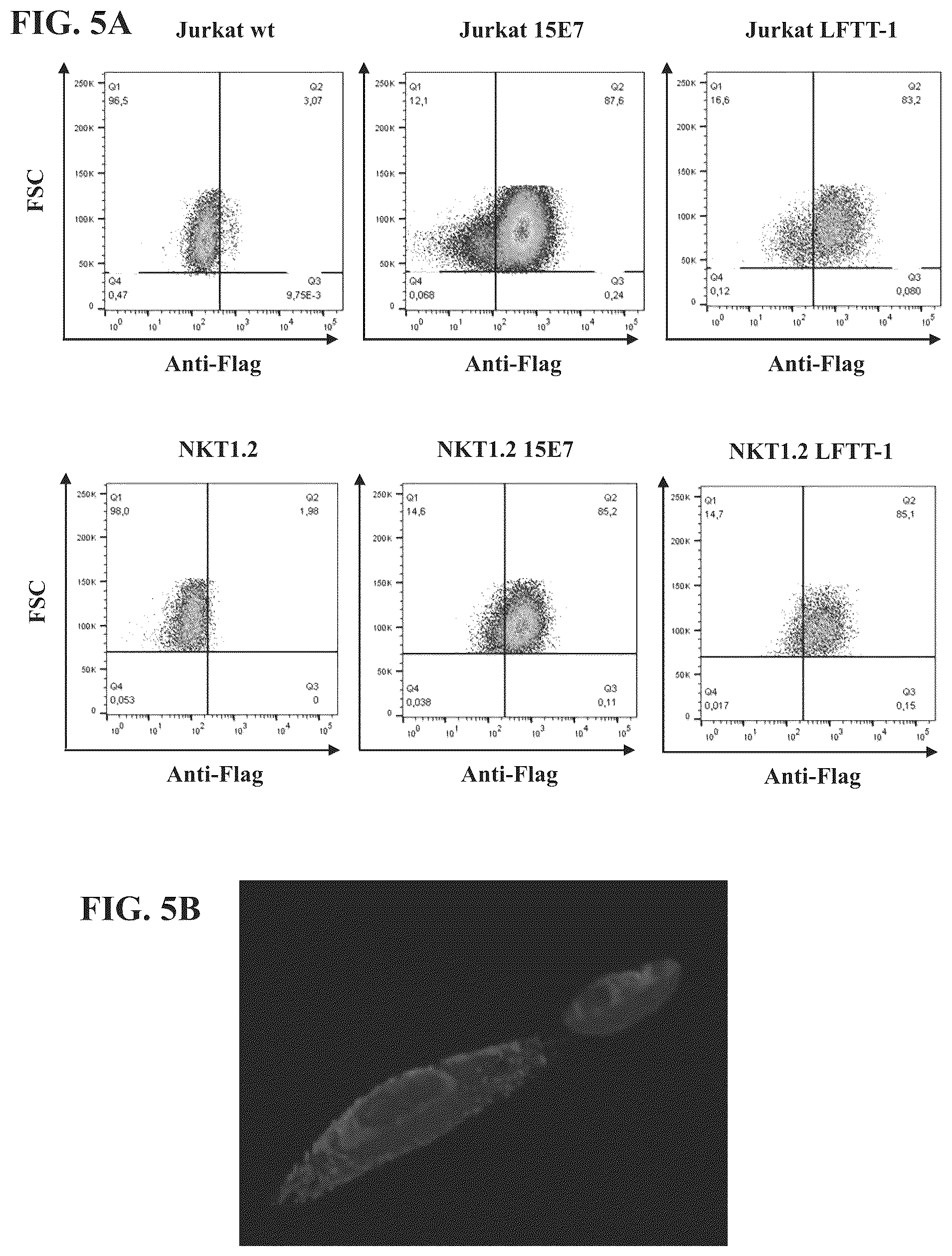 Patent US12297275 Figure 5 – Chimeric antigen receptors against multiple HLA-G isoforms