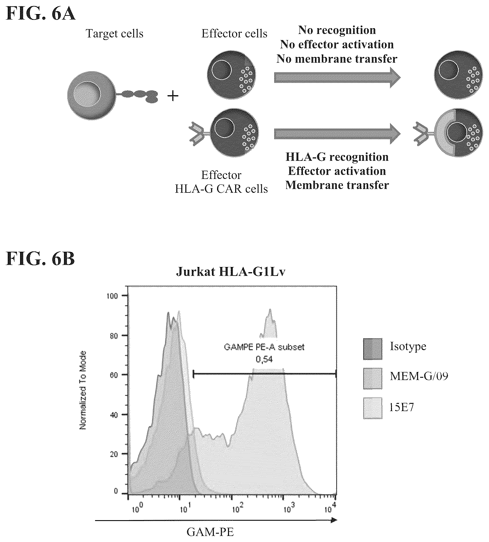 Patent US12297275 Figure 6 – Chimeric antigen receptors against multiple HLA-G isoforms