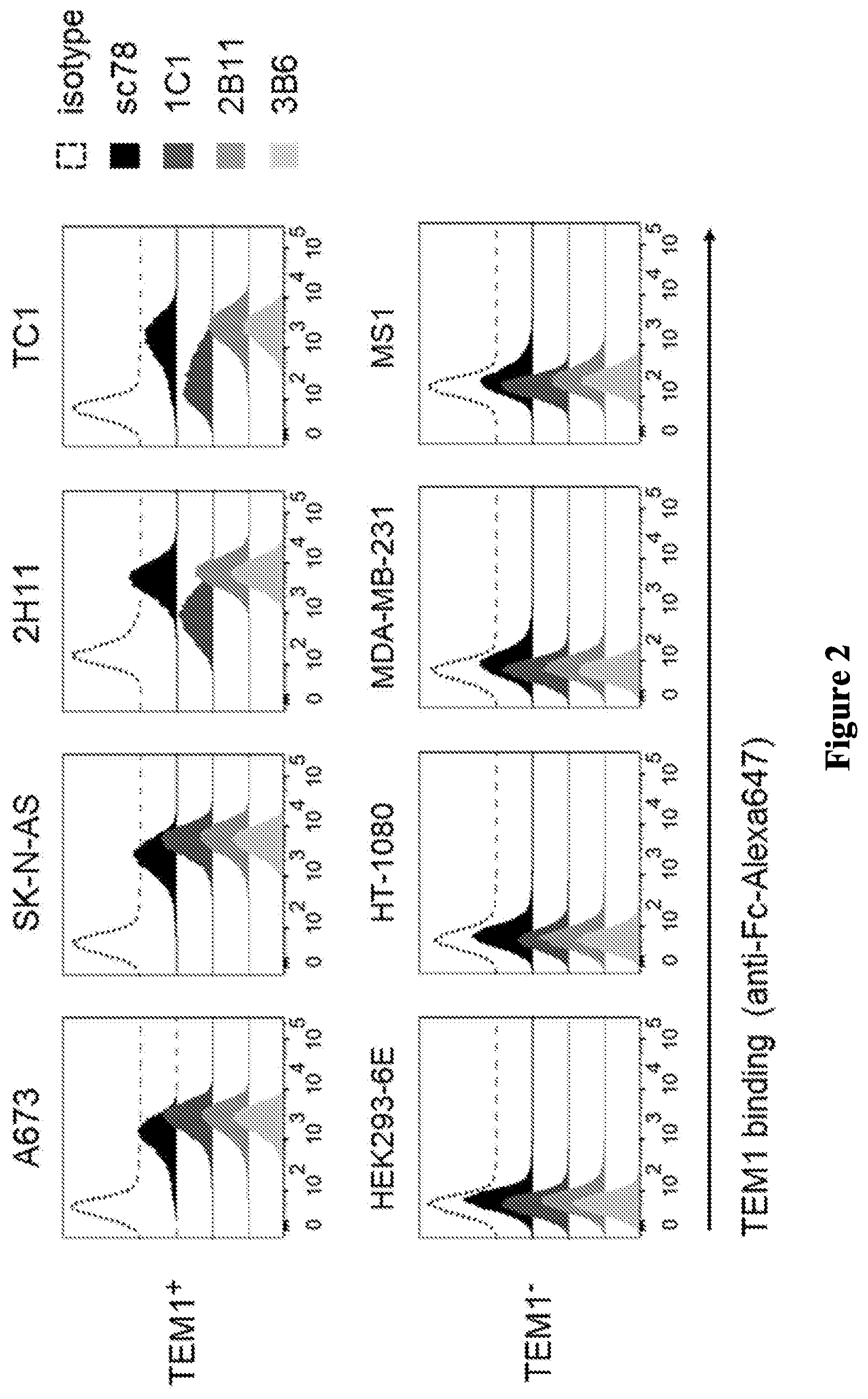 Patent US12297276 Figure 2 – Anti-TEM1 antibodies and antigen-binding portions thereof