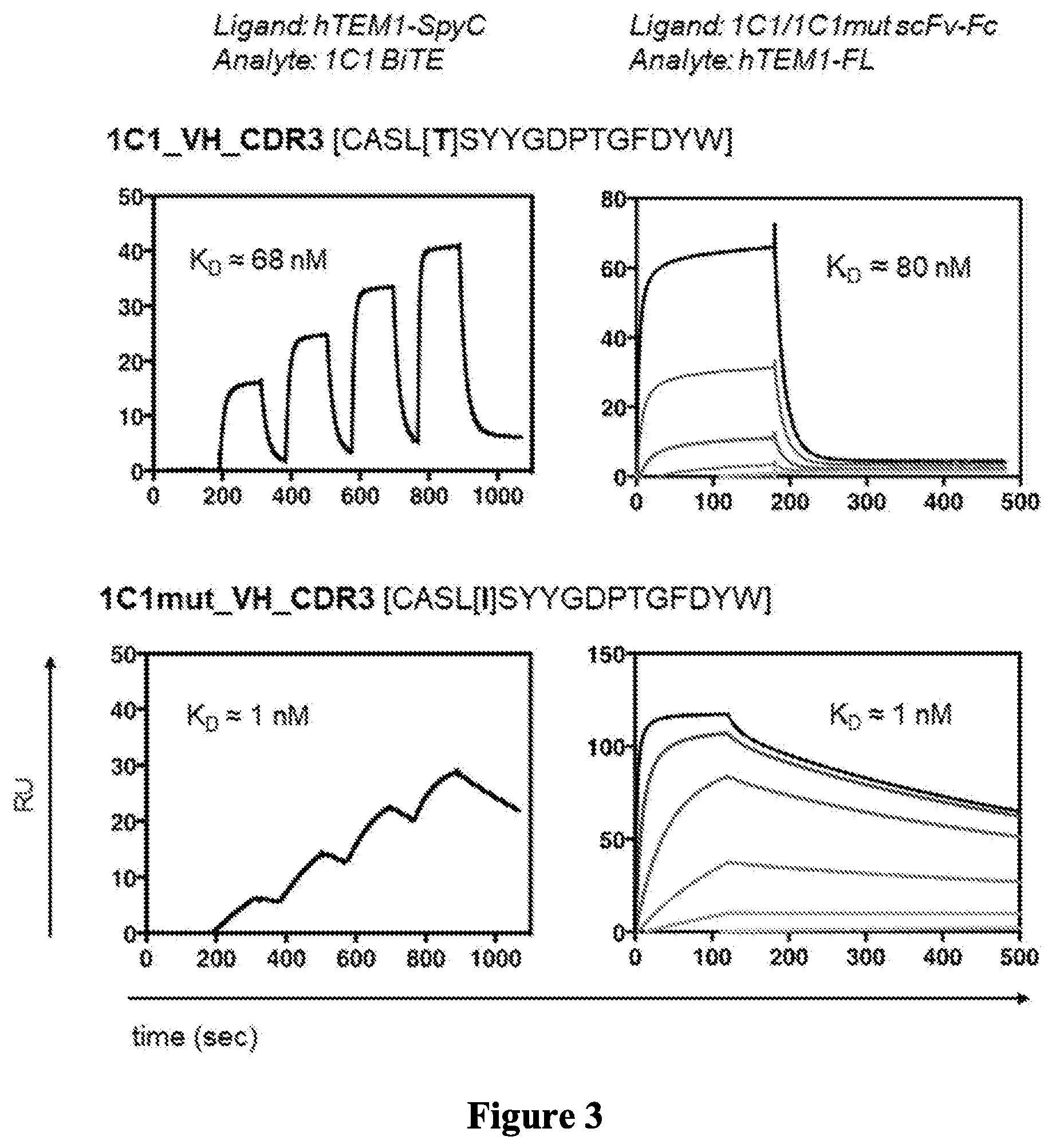 Patent US12297276 Figure 3 – Anti-TEM1 antibodies and antigen-binding portions thereof