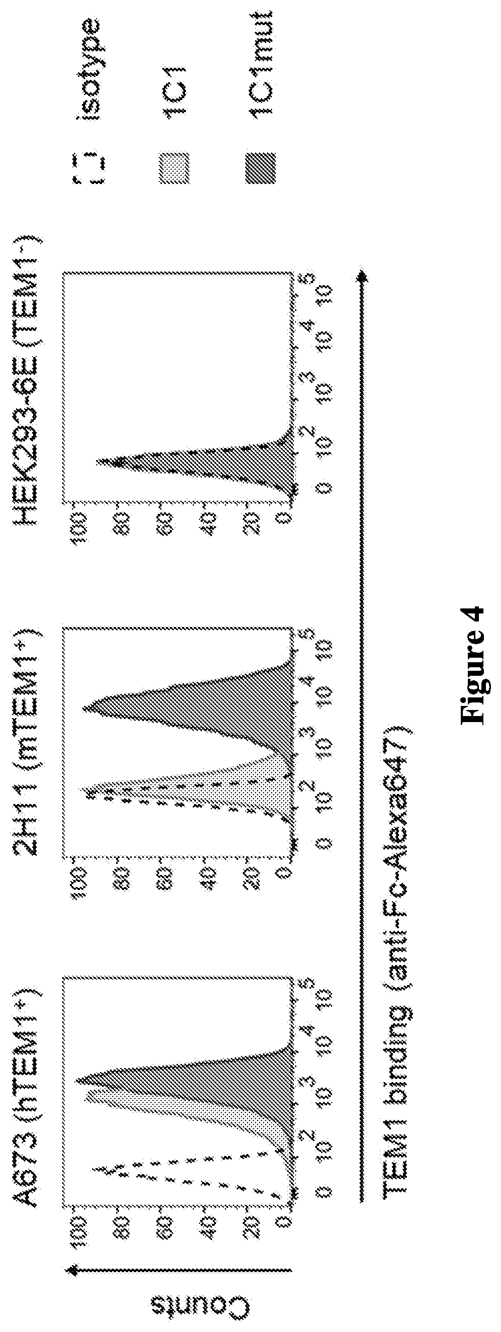 Patent US12297276 Figure 4 – Anti-TEM1 antibodies and antigen-binding portions thereof