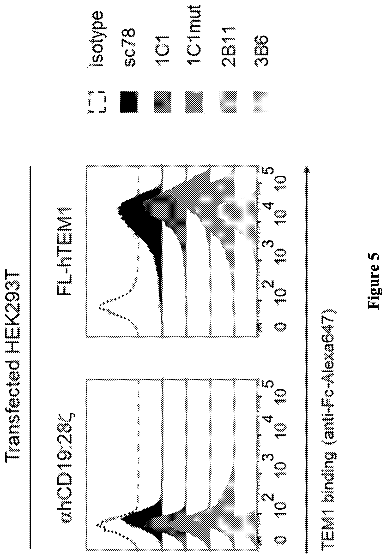 Patent US12297276 Figure 5 – Anti-TEM1 antibodies and antigen-binding portions thereof