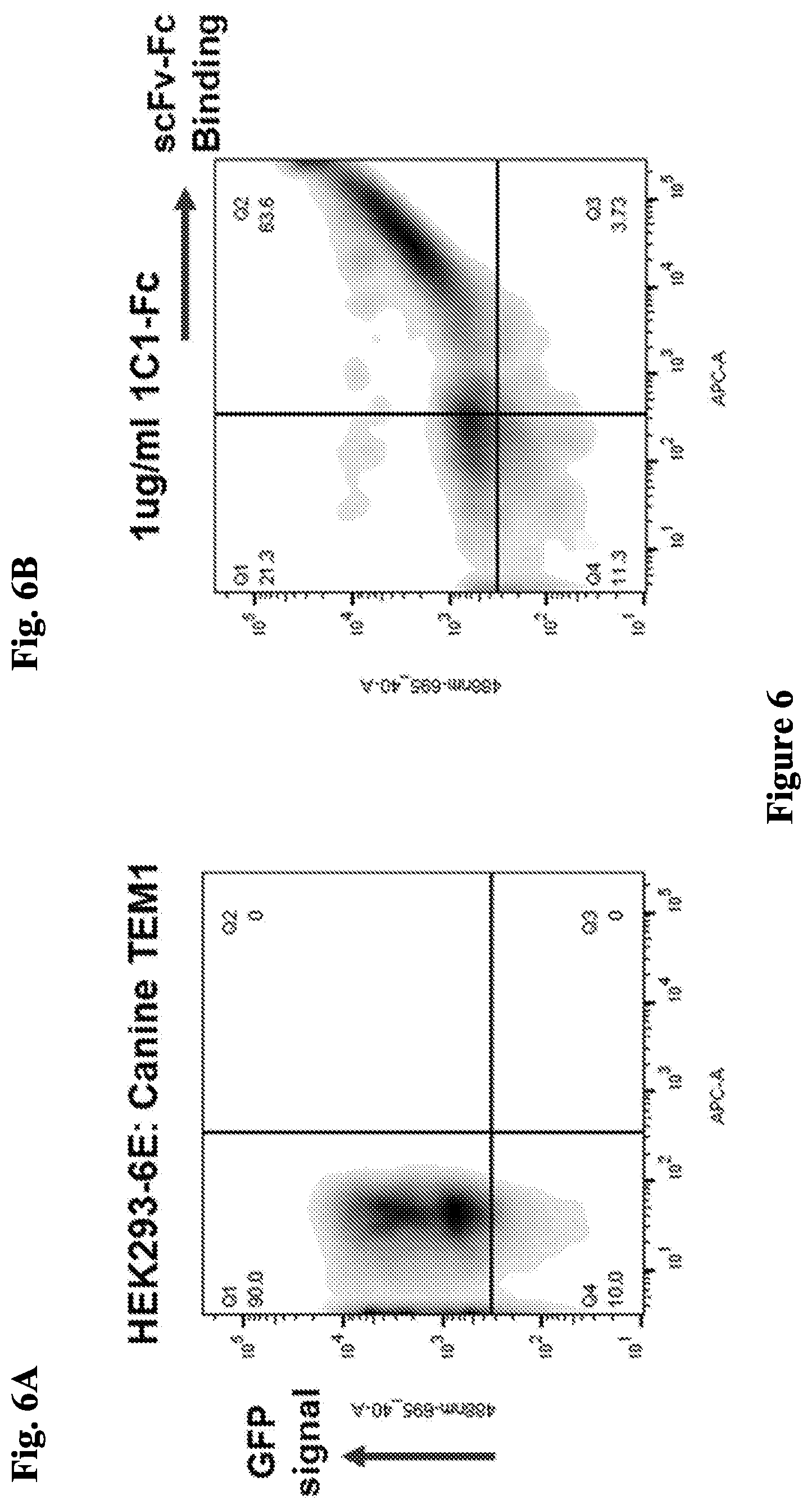 Patent US12297276 Figure 6 – Anti-TEM1 antibodies and antigen-binding portions thereof