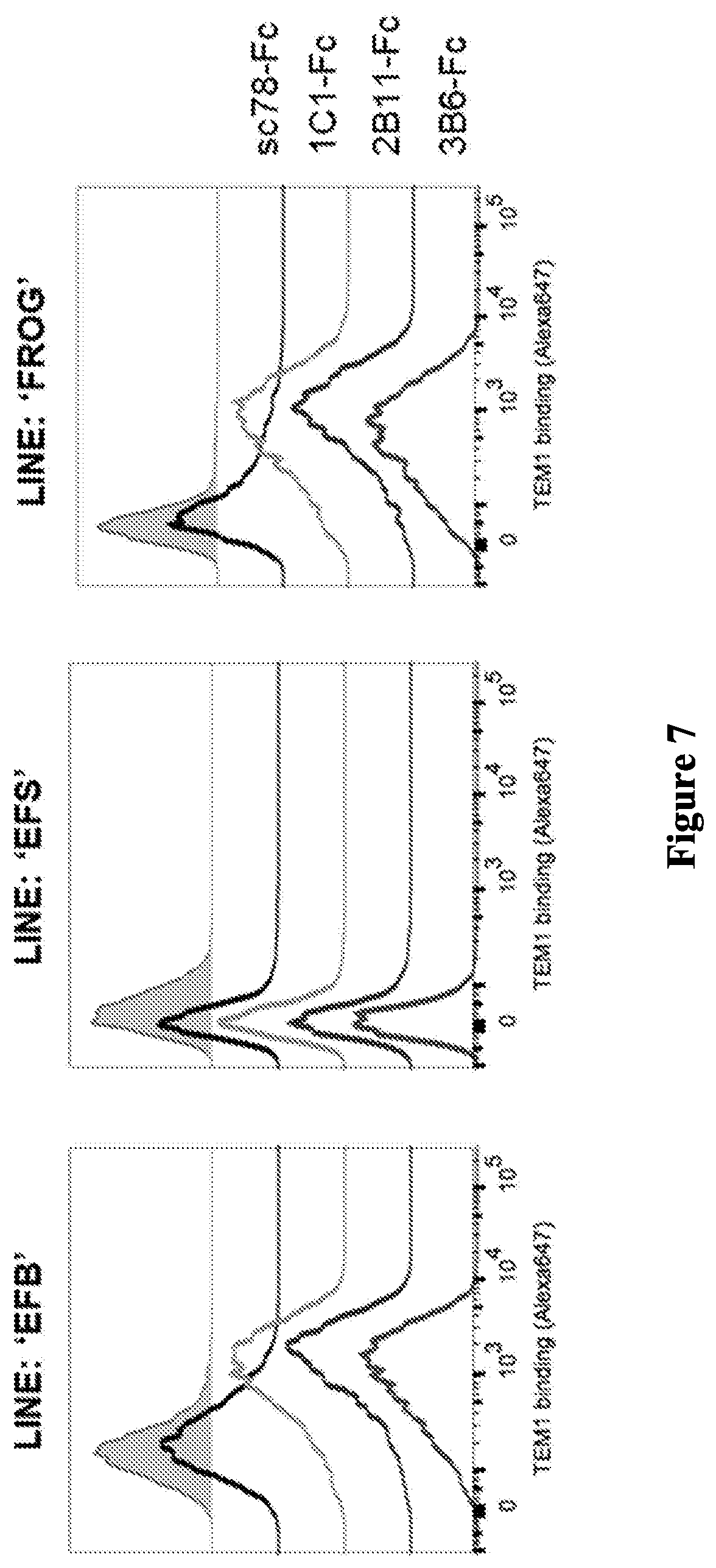 Patent US12297276 Figure 7 – Anti-TEM1 antibodies and antigen-binding portions thereof