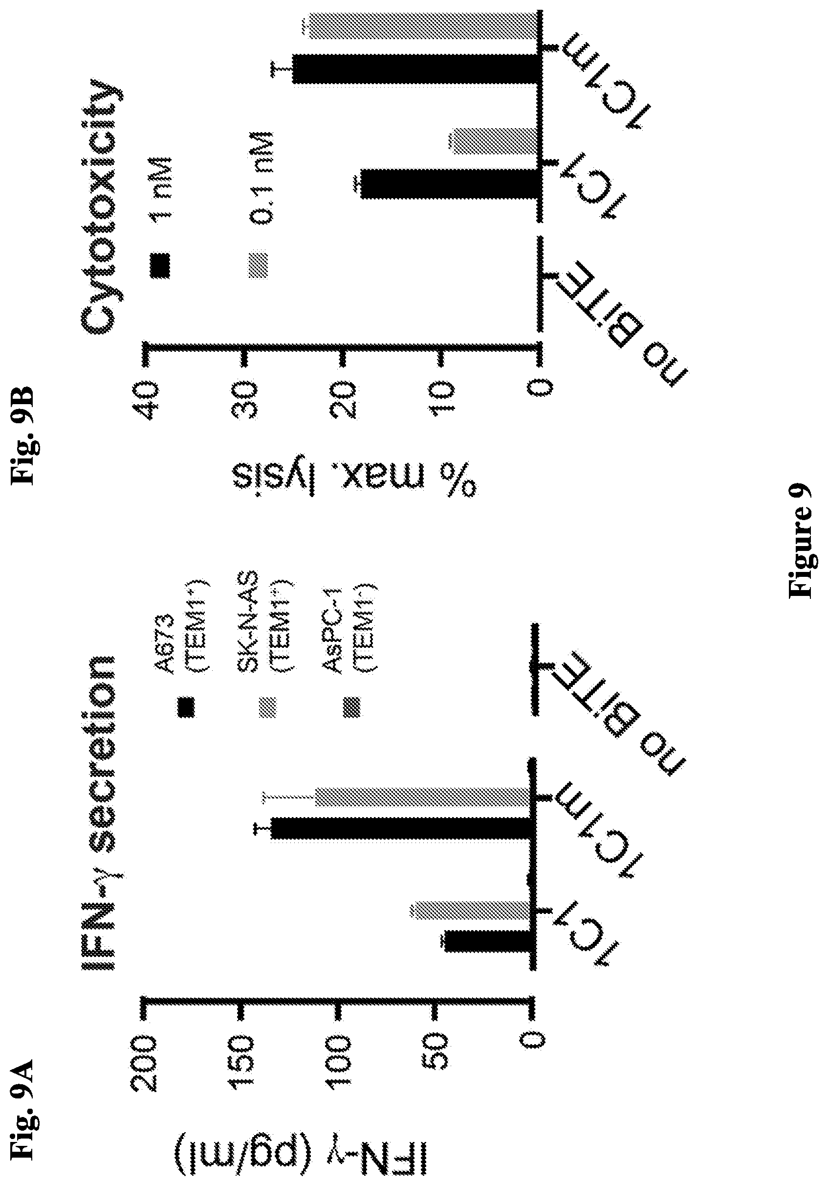 Patent US12297276 Figure 9 – Anti-TEM1 antibodies and antigen-binding portions thereof
