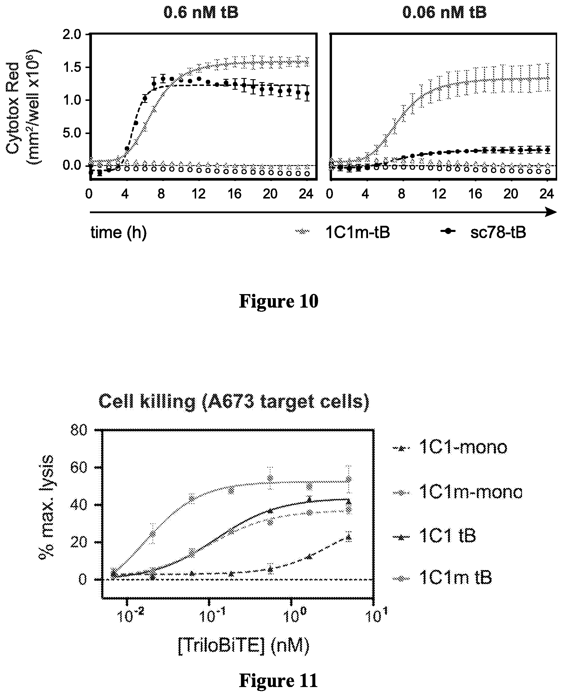 Patent US12297276 Figure 10 – Anti-TEM1 antibodies and antigen-binding portions thereof