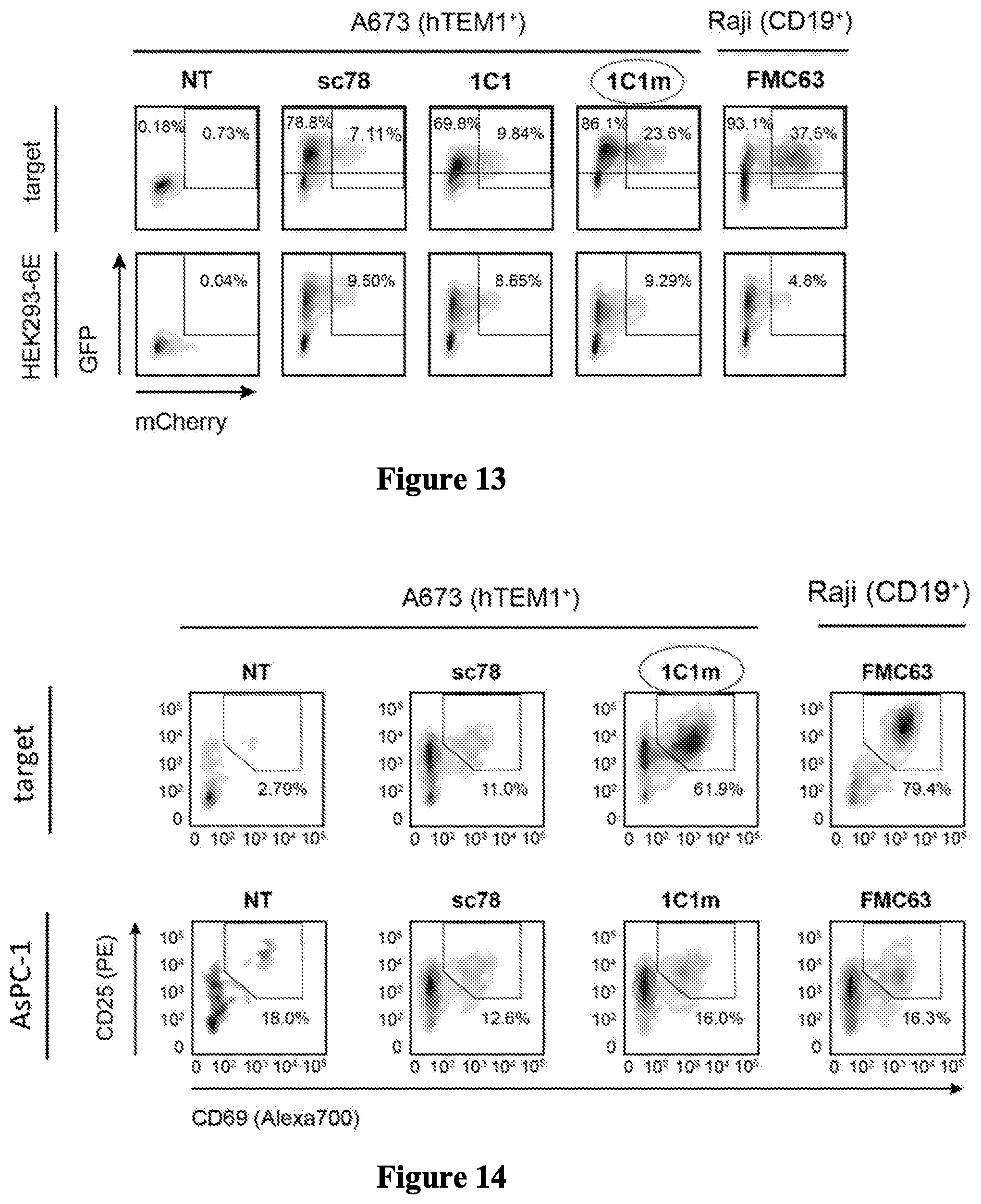 Patent US12297276 Figure 12 – Anti-TEM1 antibodies and antigen-binding portions thereof