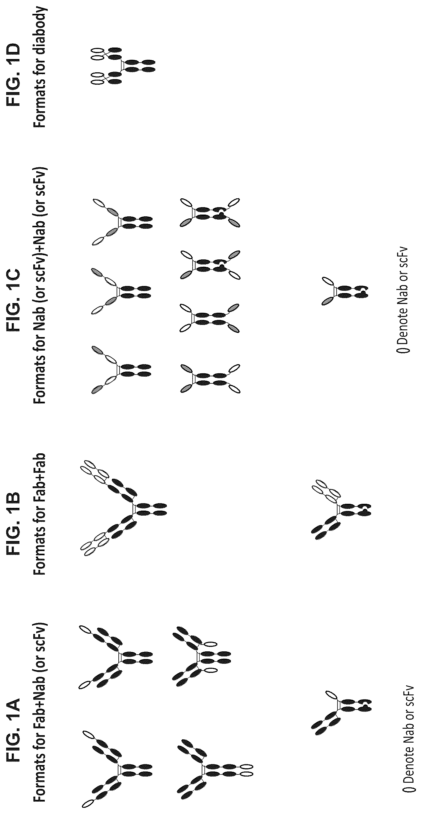 Patent US12297278 — Wnt surrogate molecules and uses thereof — Figure 1