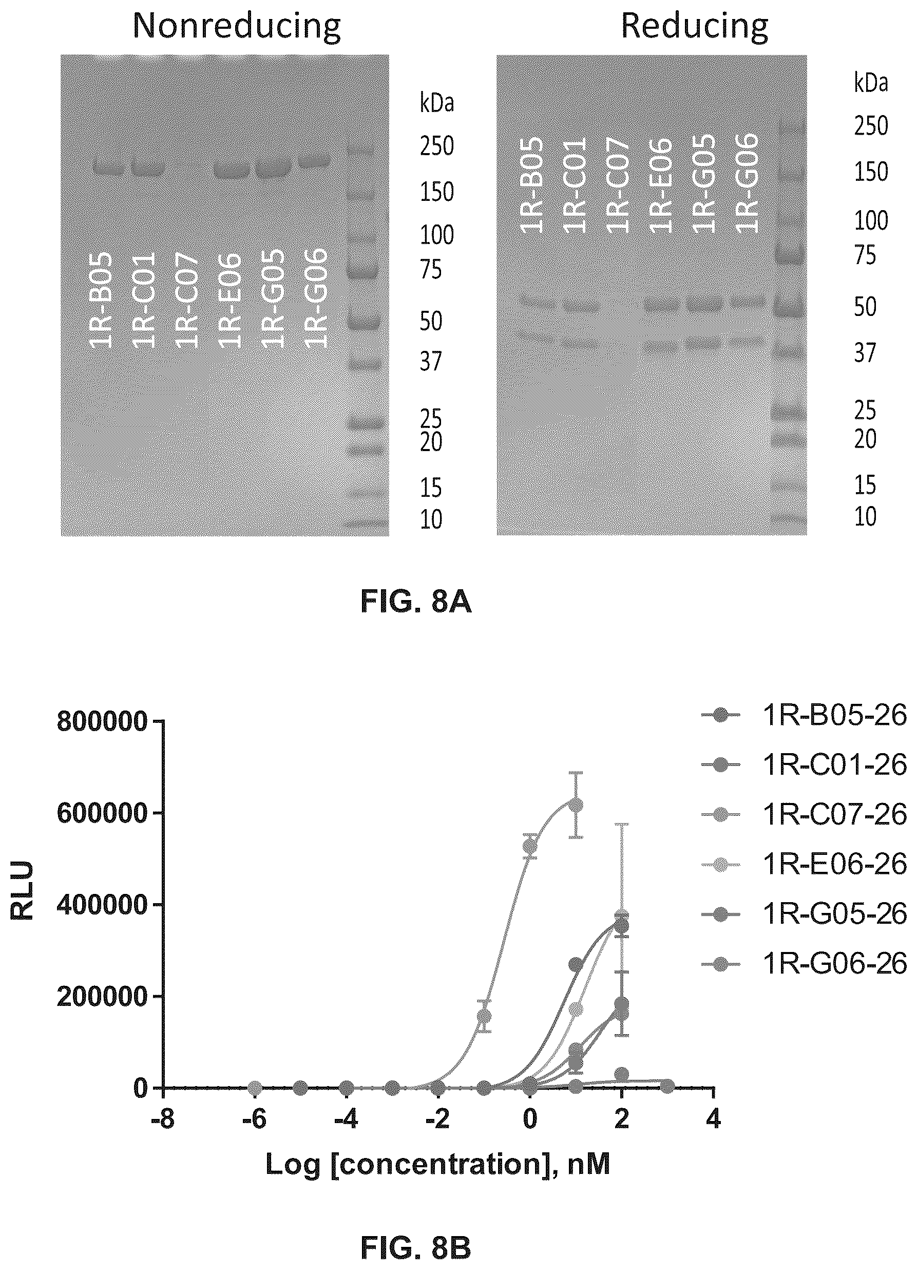 Patent US12297278 Figure 14 – Wnt surrogate molecules and uses thereof
