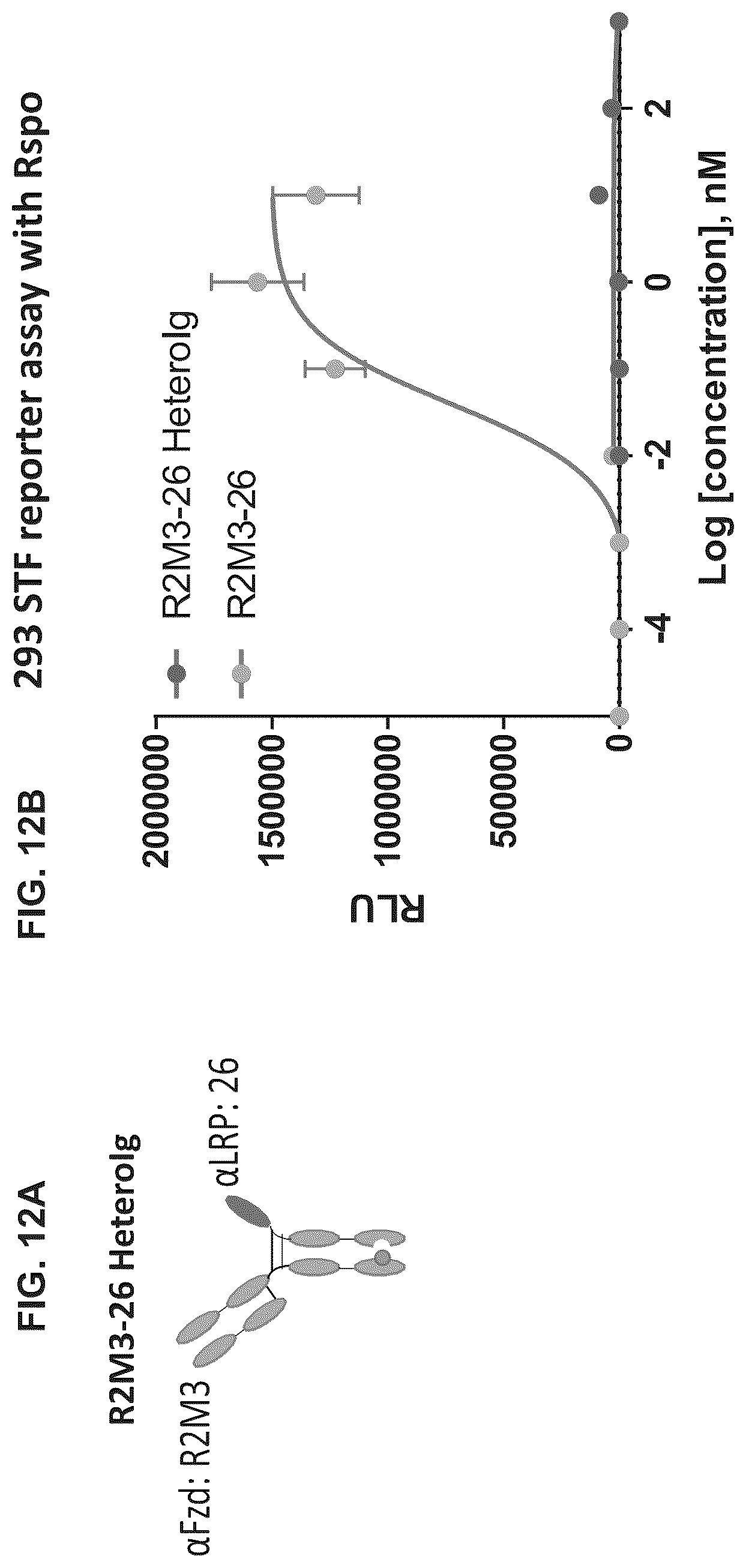 Patent US12297278 Figure 18 – Wnt surrogate molecules and uses thereof