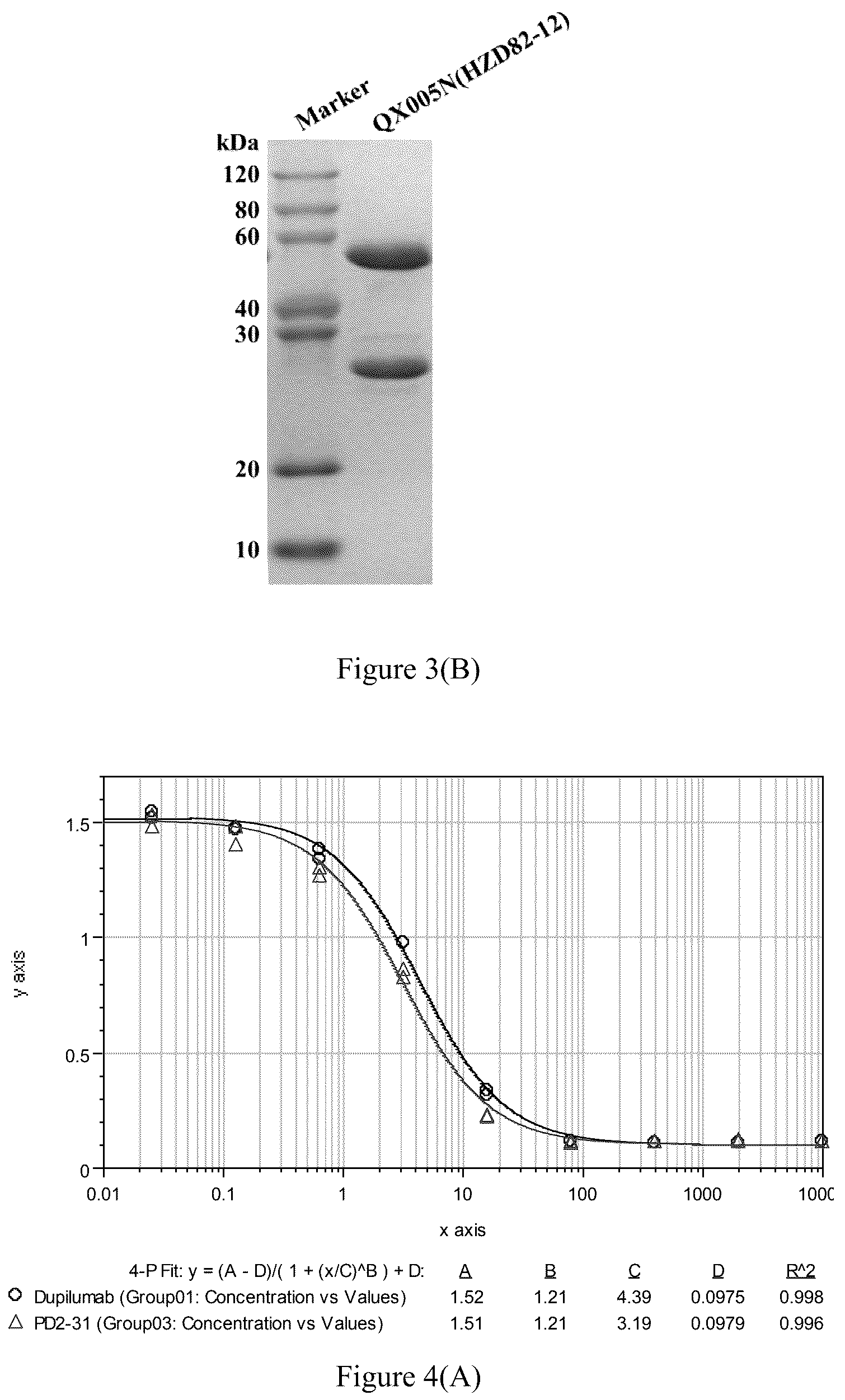 Patent US12297280 Figure 3 – Monoclonal antibodies against human interleukin-4 receptor alpha, encoding nucleic acids thereof and method of use thereof to treat IL-4 or IL-4/IL-13-mediated diseases