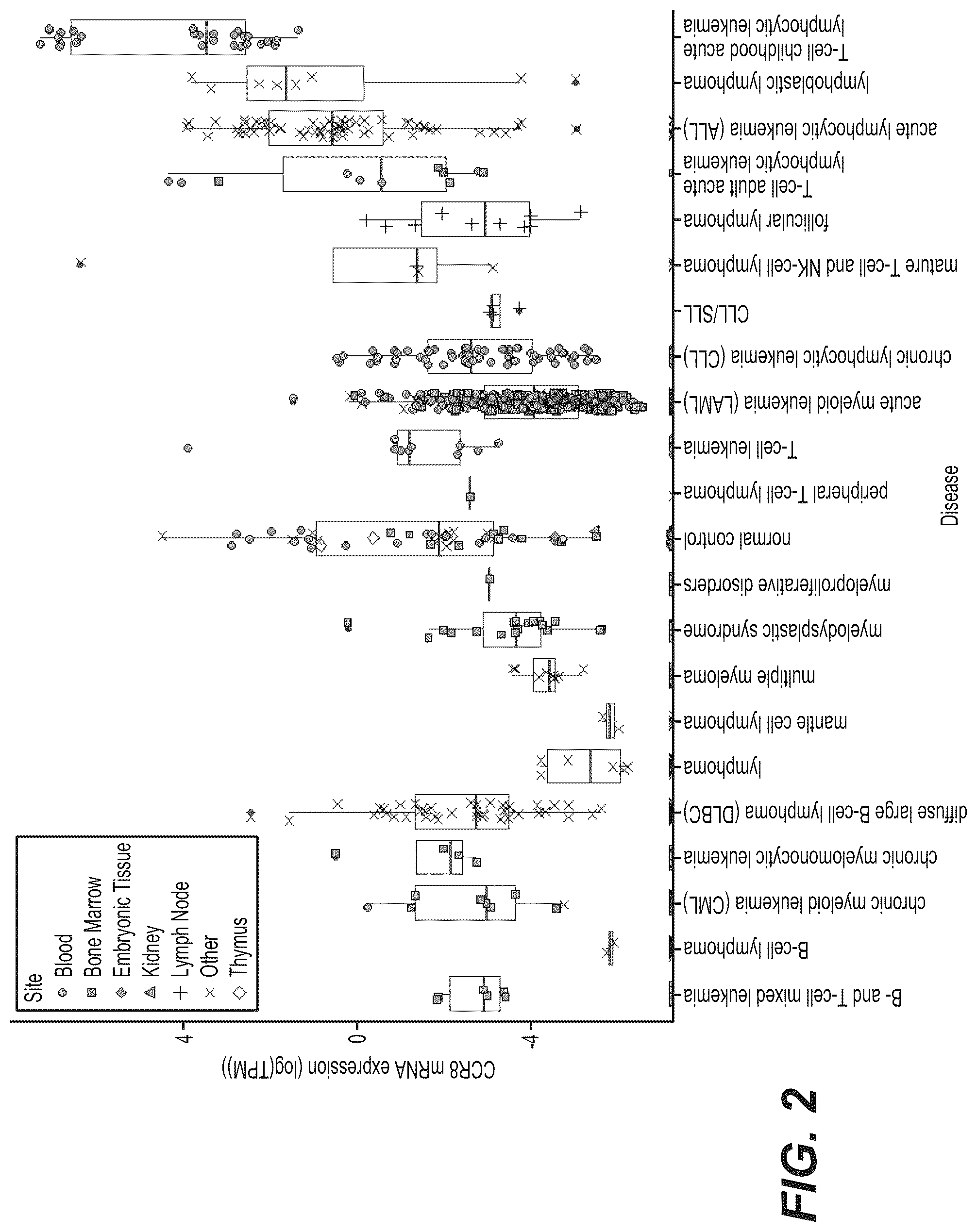 Patent US12297282 Figure 2 – Nucleic acids encoding, and methods of producing, antibodies that bind human chemokine (C—C motif) receptor 8 (CCR8)