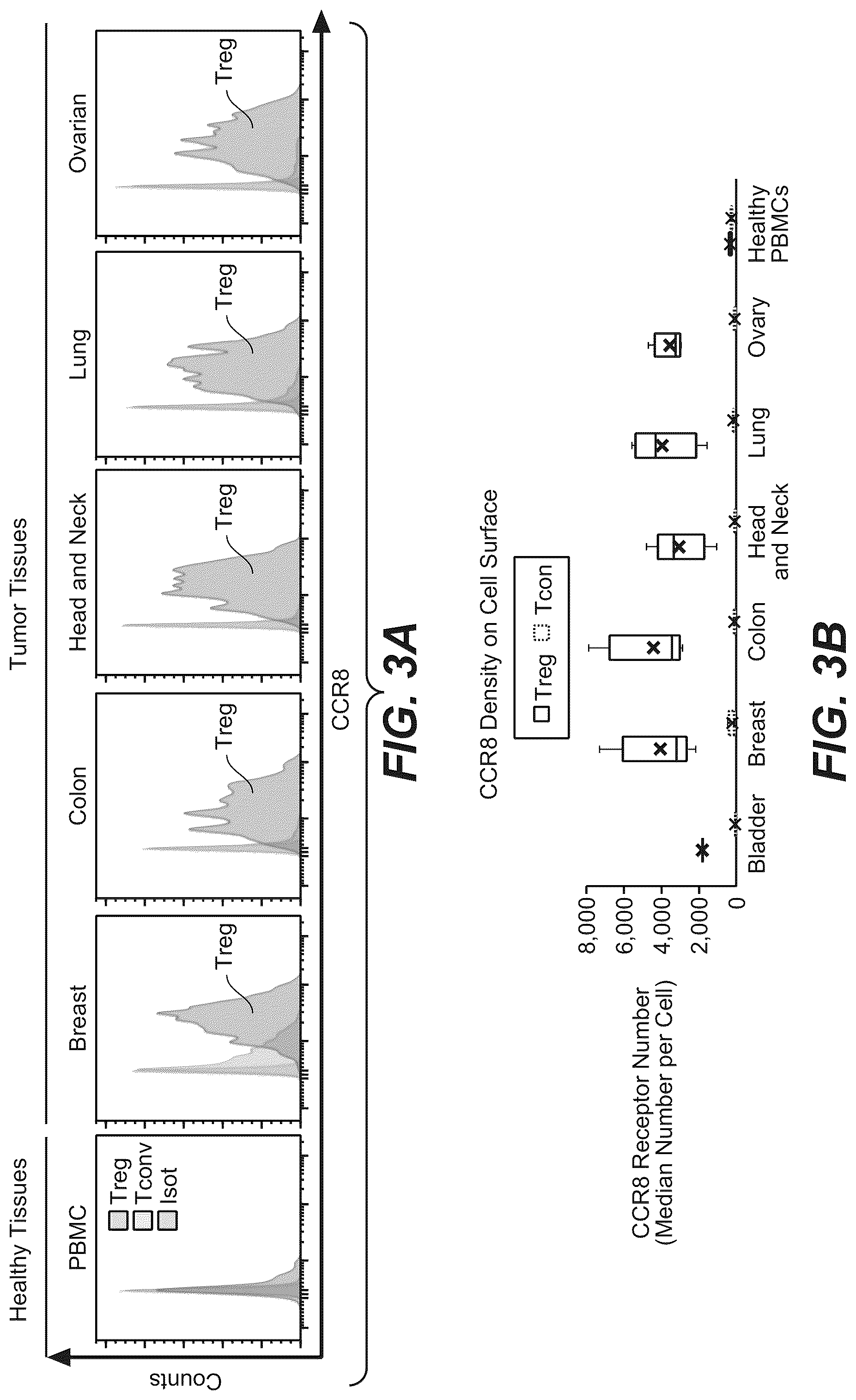 Patent US12297282 Figure 3 – Nucleic acids encoding, and methods of producing, antibodies that bind human chemokine (C—C motif) receptor 8 (CCR8)