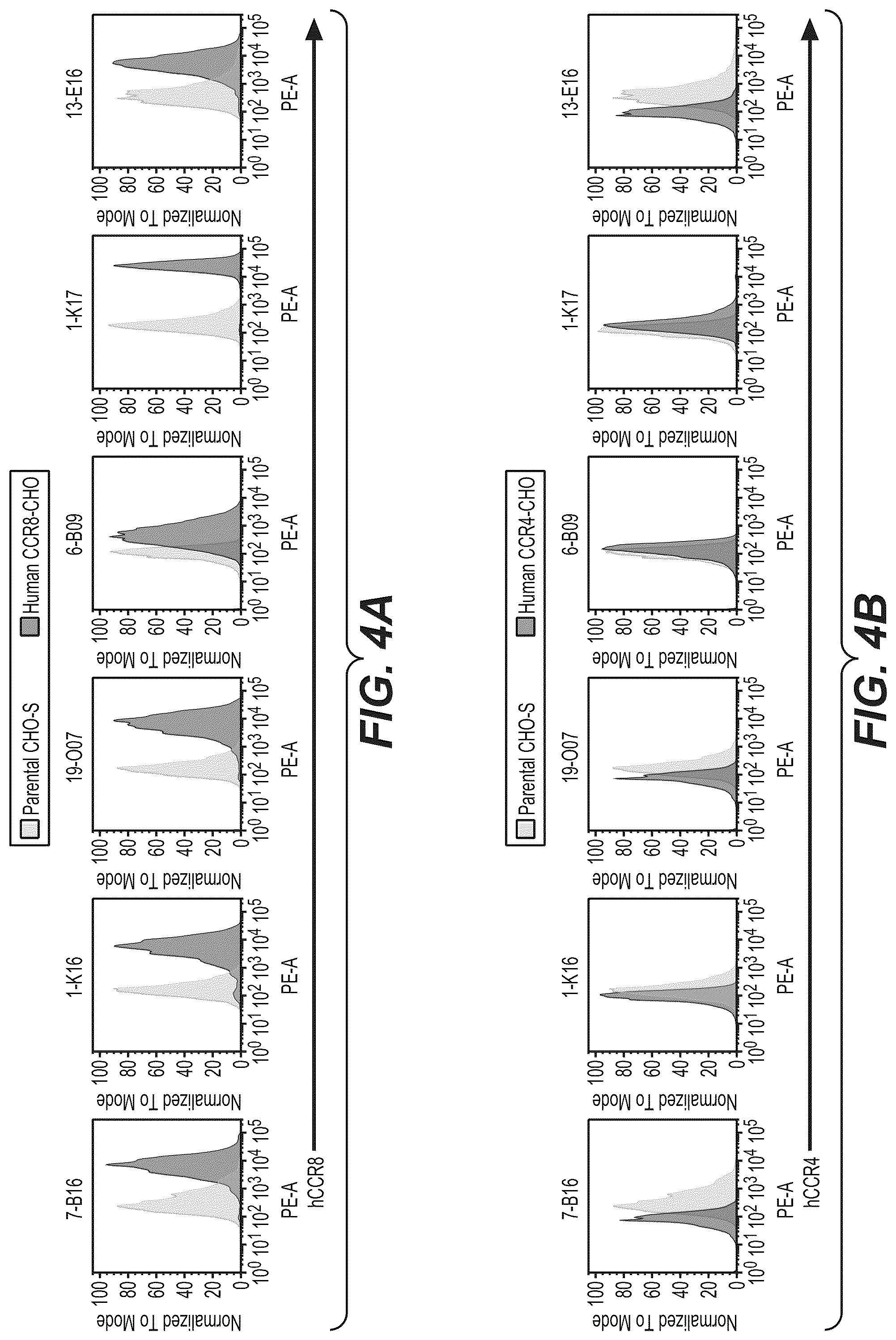 Patent US12297282 Figure 4 – Nucleic acids encoding, and methods of producing, antibodies that bind human chemokine (C—C motif) receptor 8 (CCR8)