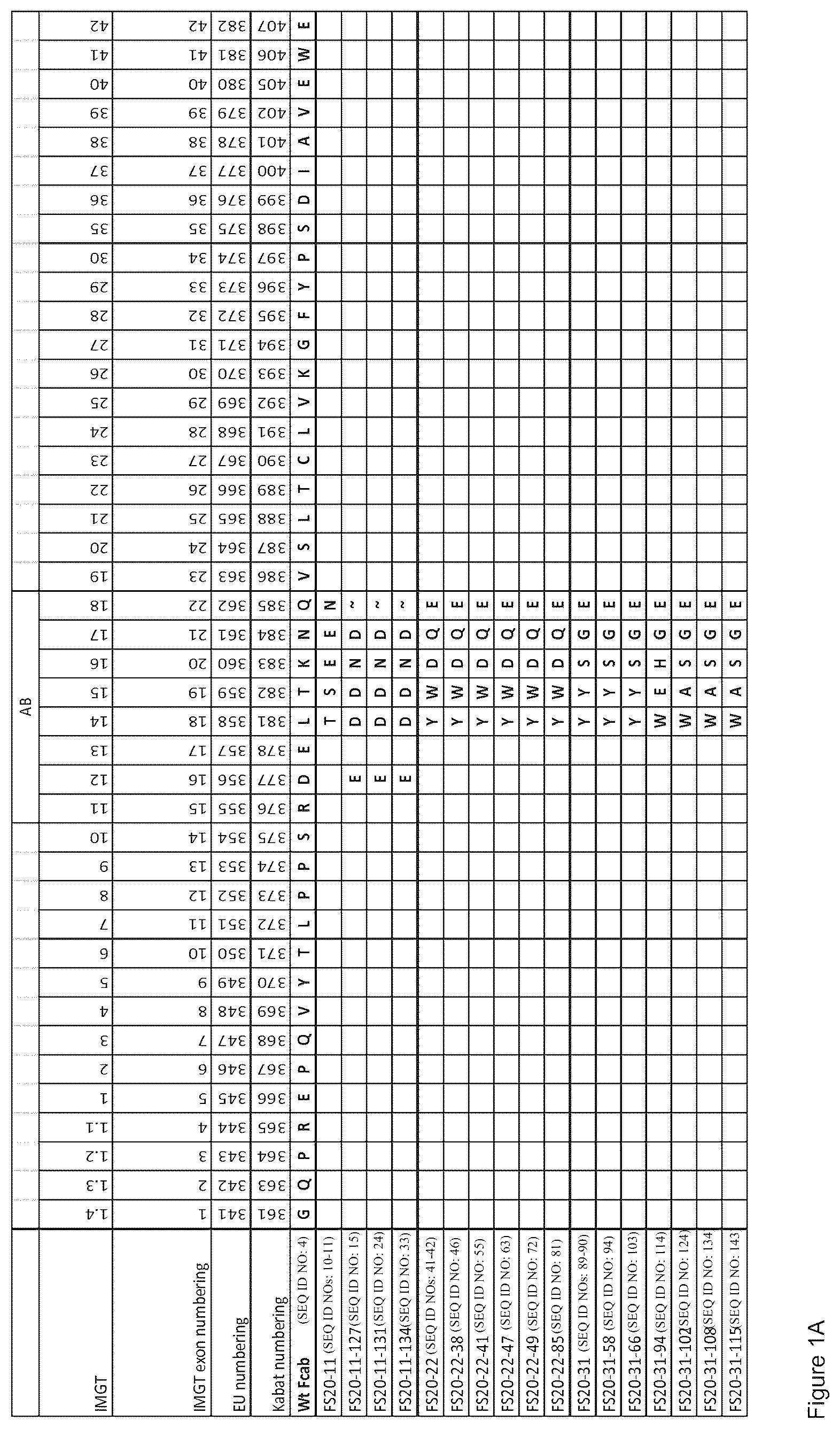 Patent US12297283 Figure 1 – Fc binding fragments comprising an OX40 antigen-binding site