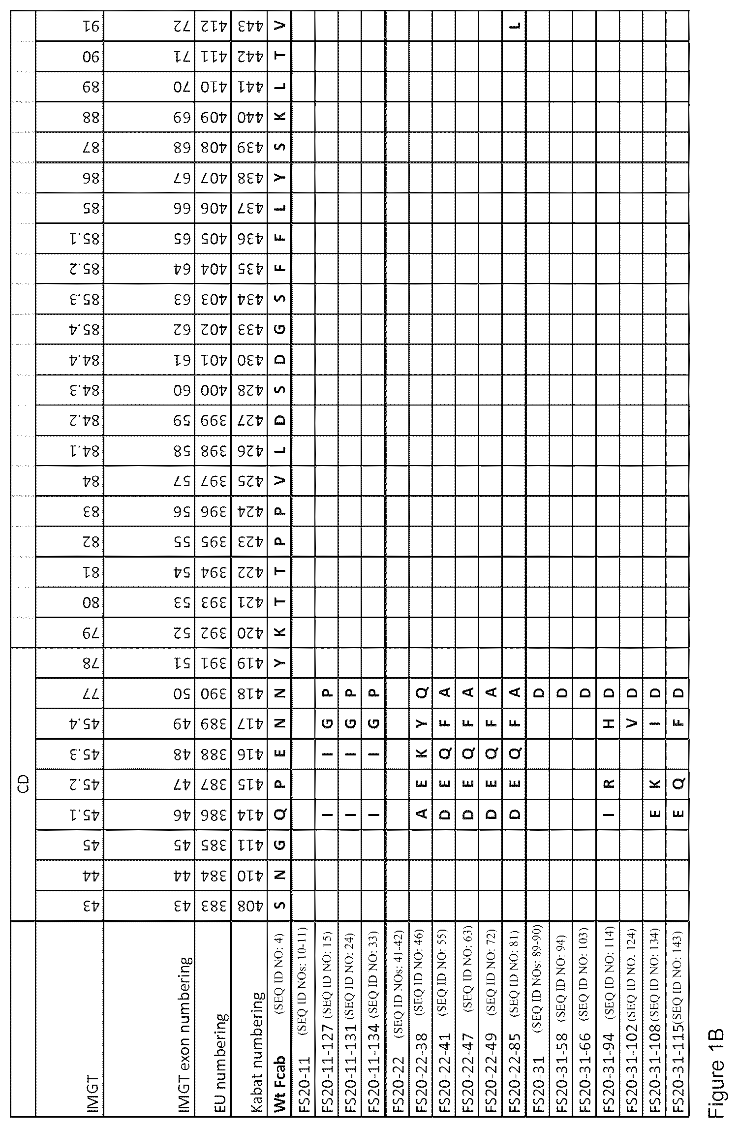 Patent US12297283 Figure 2 – Fc binding fragments comprising an OX40 antigen-binding site