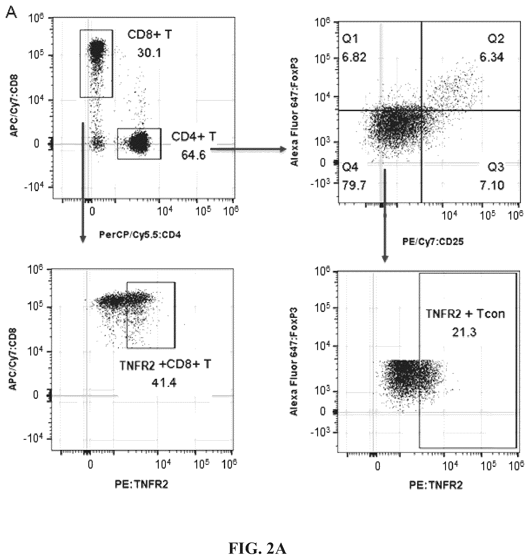 Patent US12297284 Figure 3 – Anti-TNFR2 antibody and use thereof