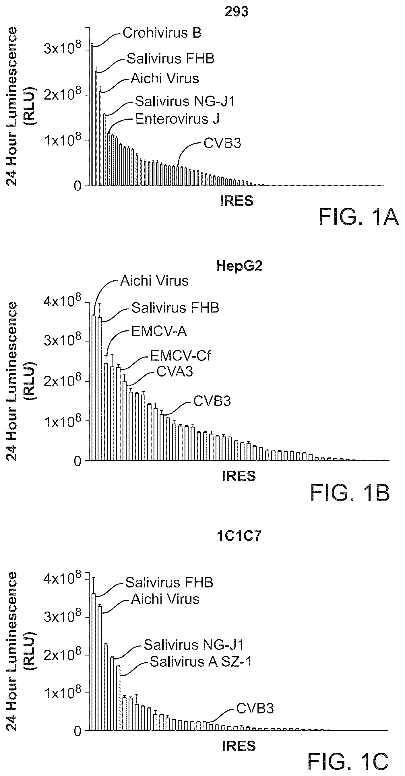 Patent US12297285 Figure 1 – Circular RNA encoding chimeric antigen receptors targeting BCMA