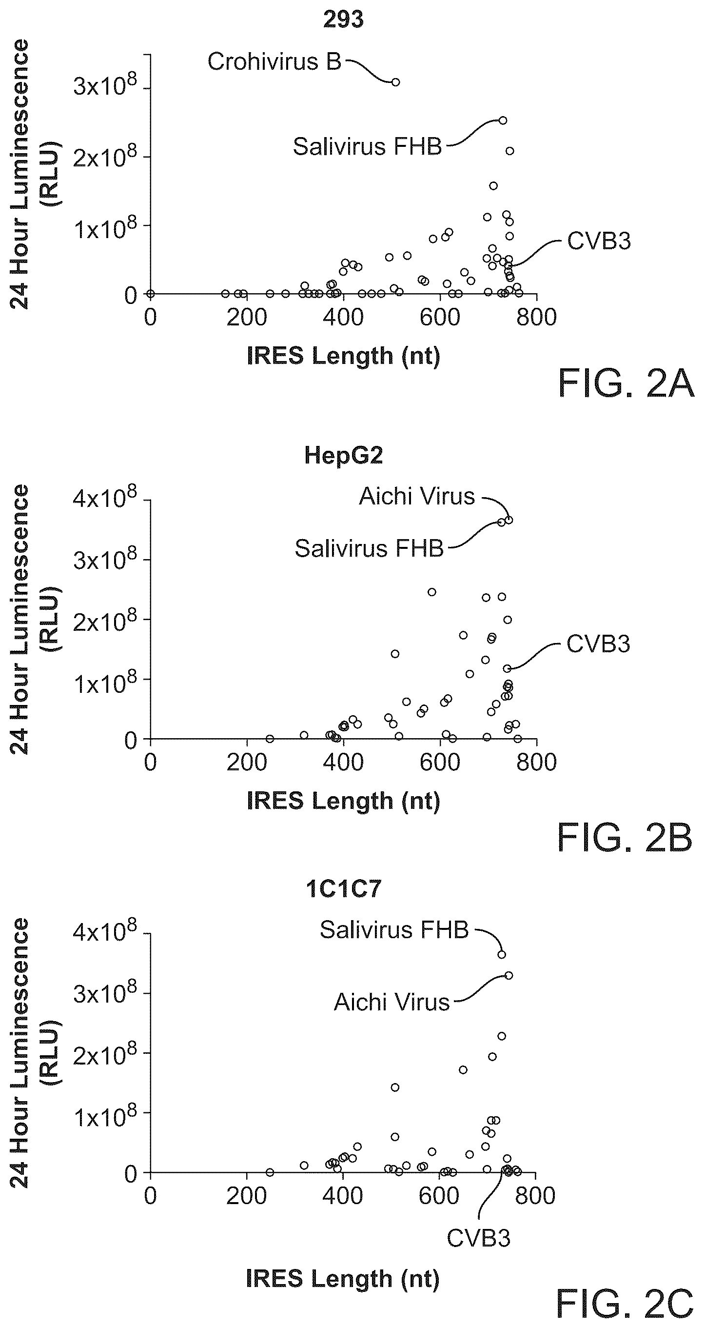 Patent US12297285 Figure 3 – Circular RNA encoding chimeric antigen receptors targeting BCMA