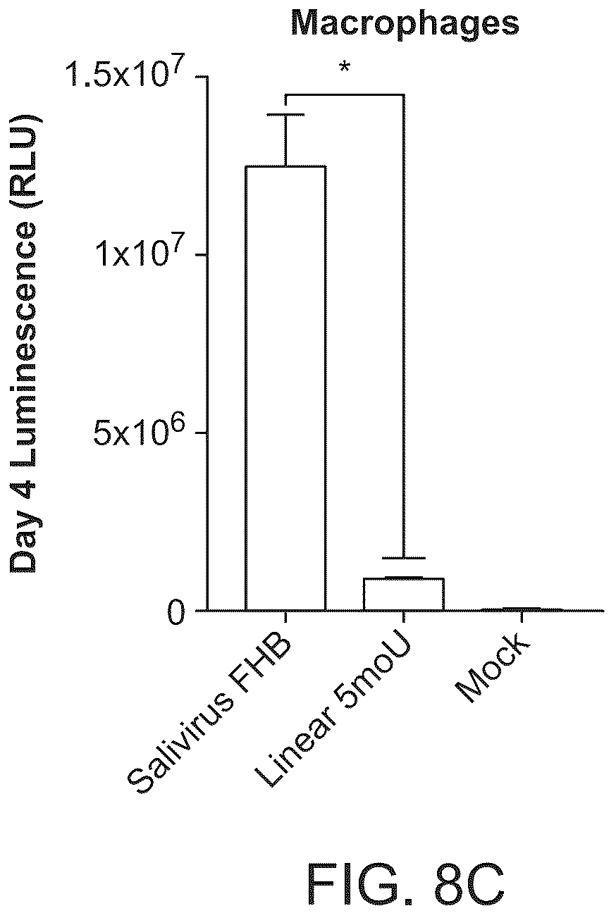 Patent US12297285 Figure 13 – Circular RNA encoding chimeric antigen receptors targeting BCMA