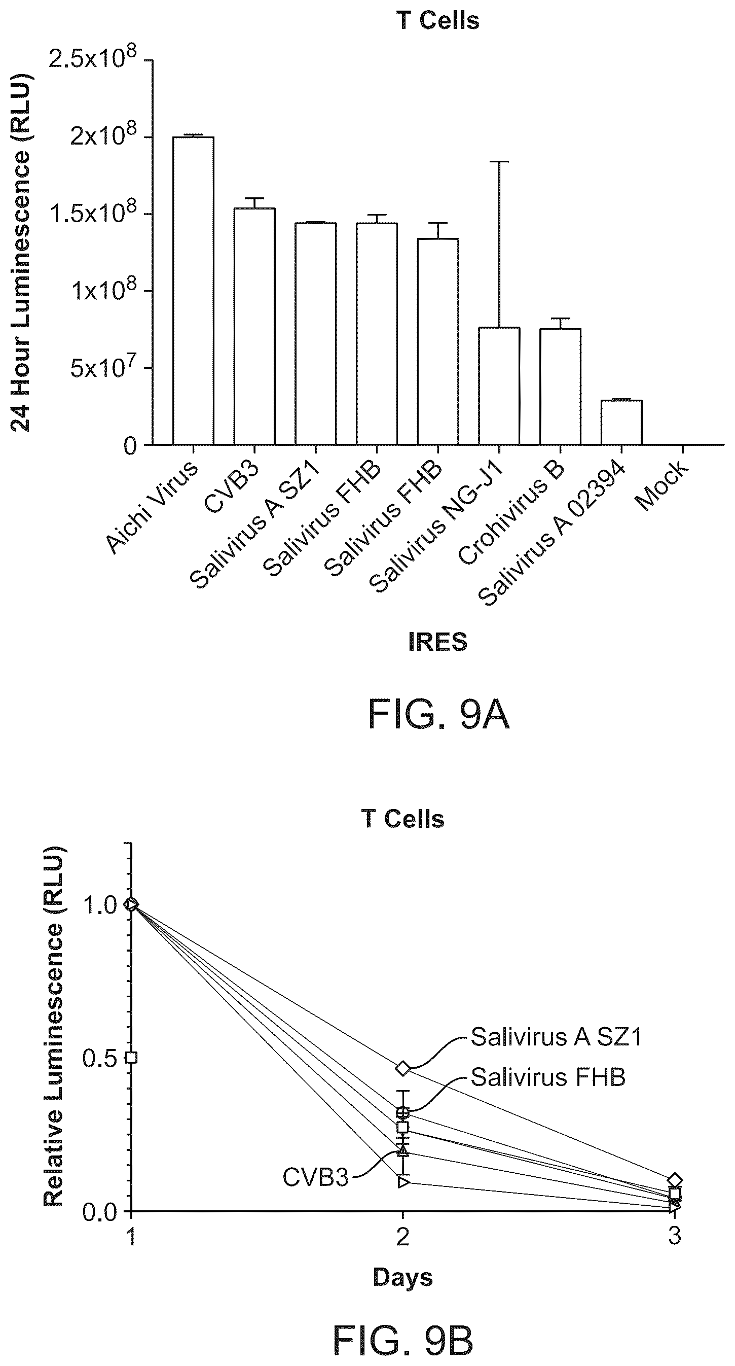Patent US12297285 Figure 14 – Circular RNA encoding chimeric antigen receptors targeting BCMA