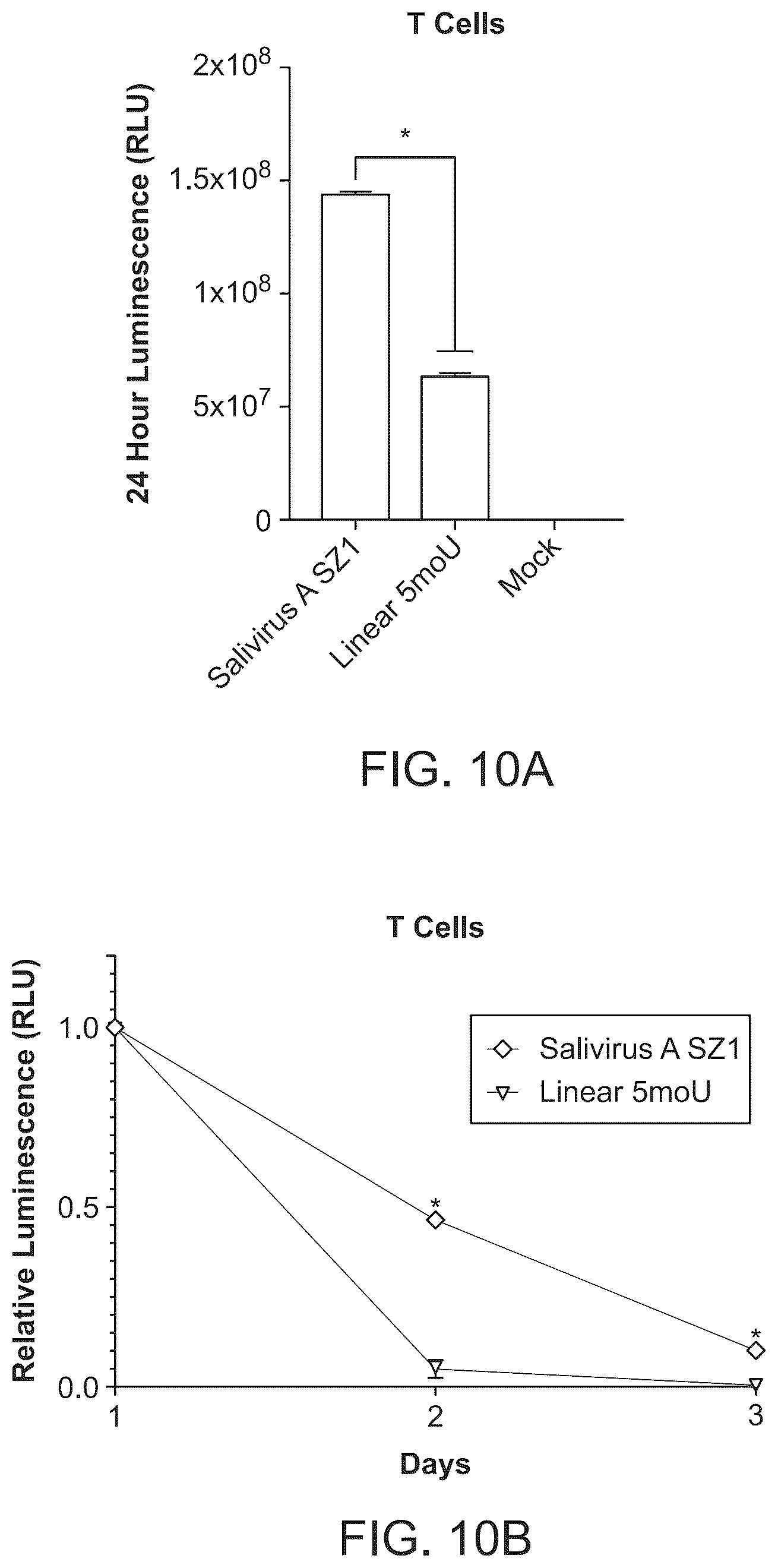 Patent US12297285 Figure 15 – Circular RNA encoding chimeric antigen receptors targeting BCMA