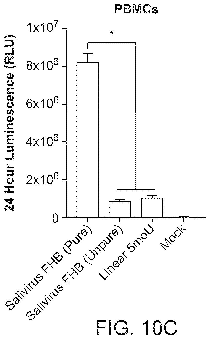 Patent US12297285 Figure 16 – Circular RNA encoding chimeric antigen receptors targeting BCMA
