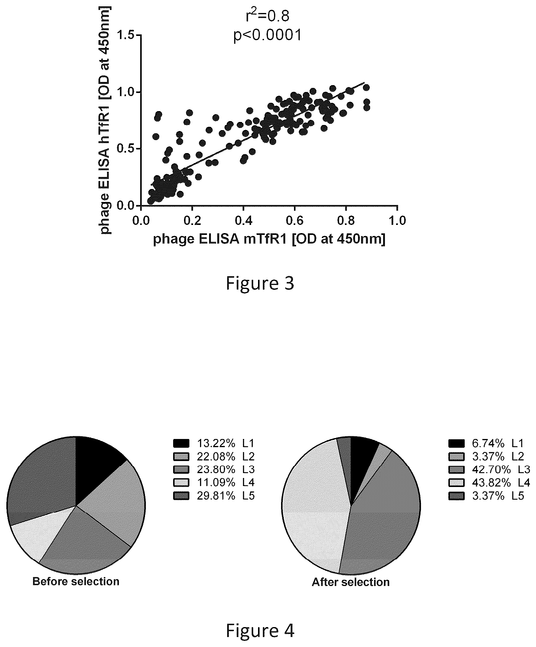 Patent US12297286 Figure 2 – Transferrin receptor (TFR)-selective binding peptides capable of crossing the blood brain barrier, encoding nucleic acids thereof and methods of use thereof