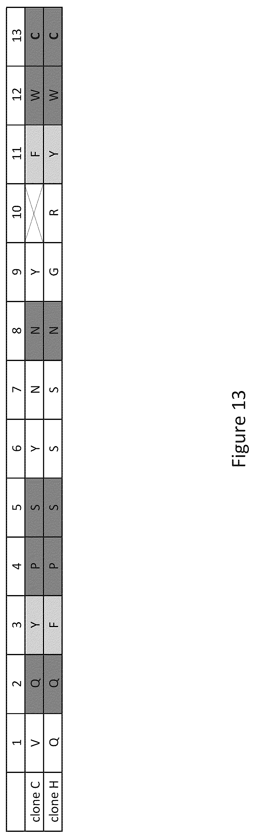 Patent US12297286 Figure 9 – Transferrin receptor (TFR)-selective binding peptides capable of crossing the blood brain barrier, encoding nucleic acids thereof and methods of use thereof