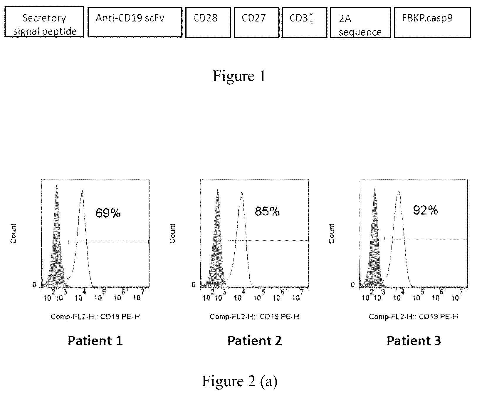 Patent US12297288 Figure 1 – CD19-based chimeric antigen receptor and application thereof