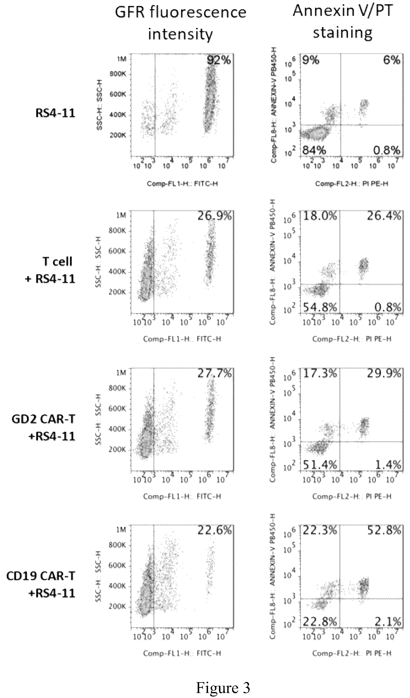 Patent US12297288 Figure 3 – CD19-based chimeric antigen receptor and application thereof