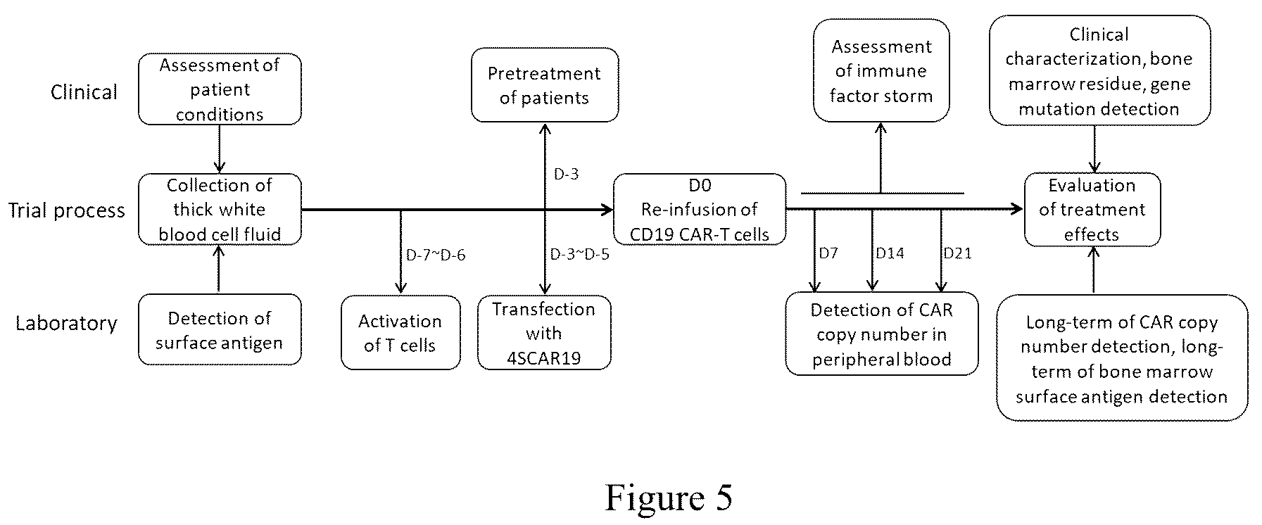 Patent US12297288 Figure 5 – CD19-based chimeric antigen receptor and application thereof