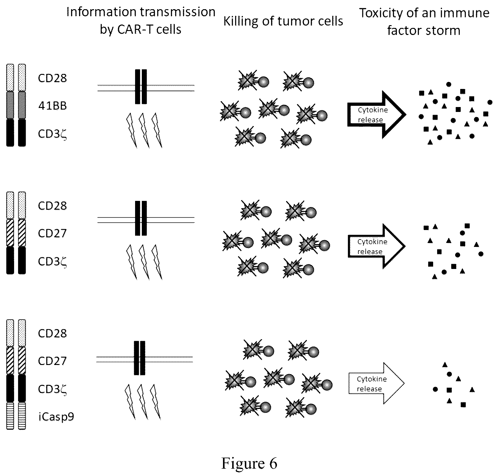 Patent US12297288 Figure 6 – CD19-based chimeric antigen receptor and application thereof