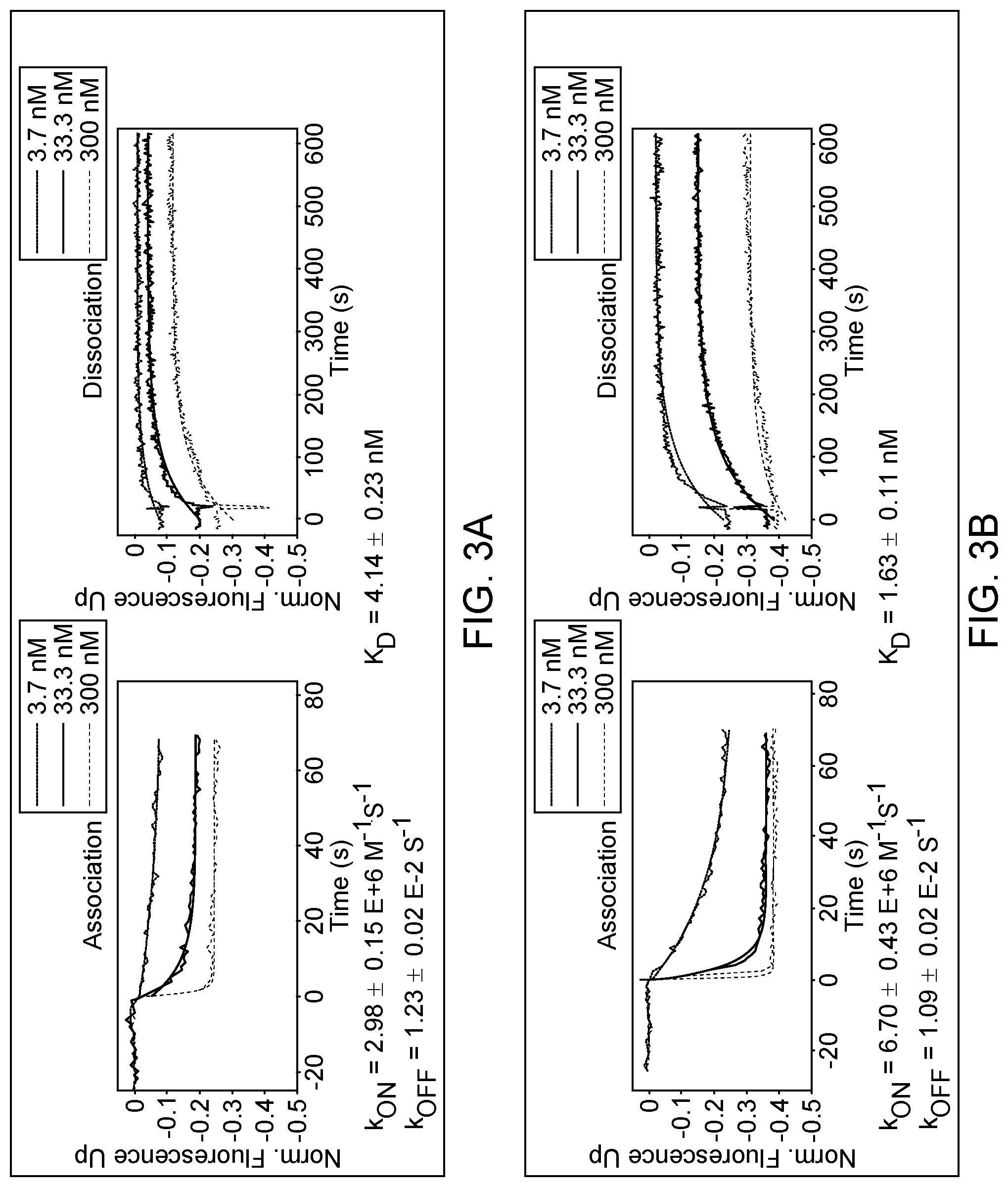 Patent US12297289 Figure 6 – Anti-MUC1 antibody