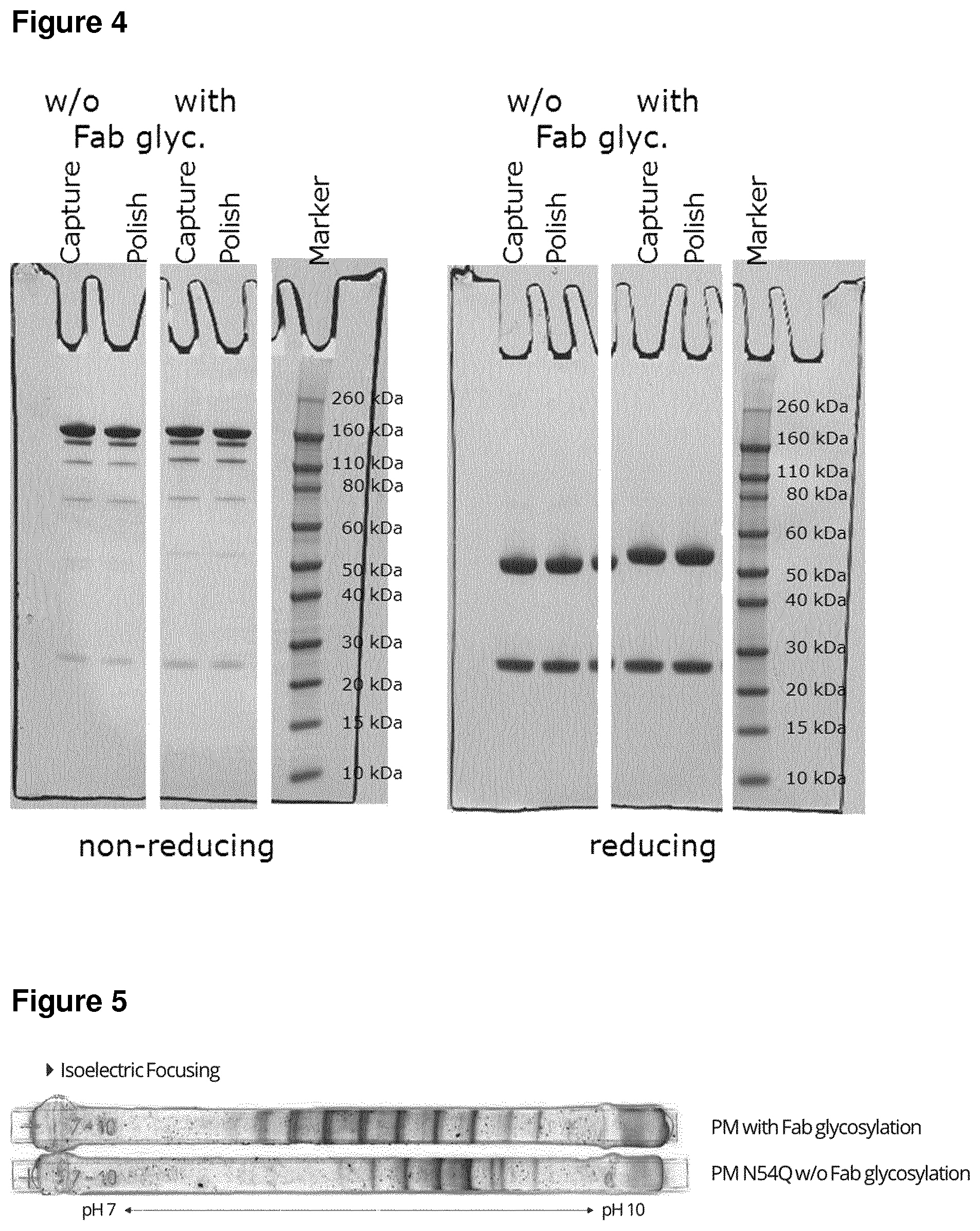 Patent US12297289 Figure 7 – Anti-MUC1 antibody