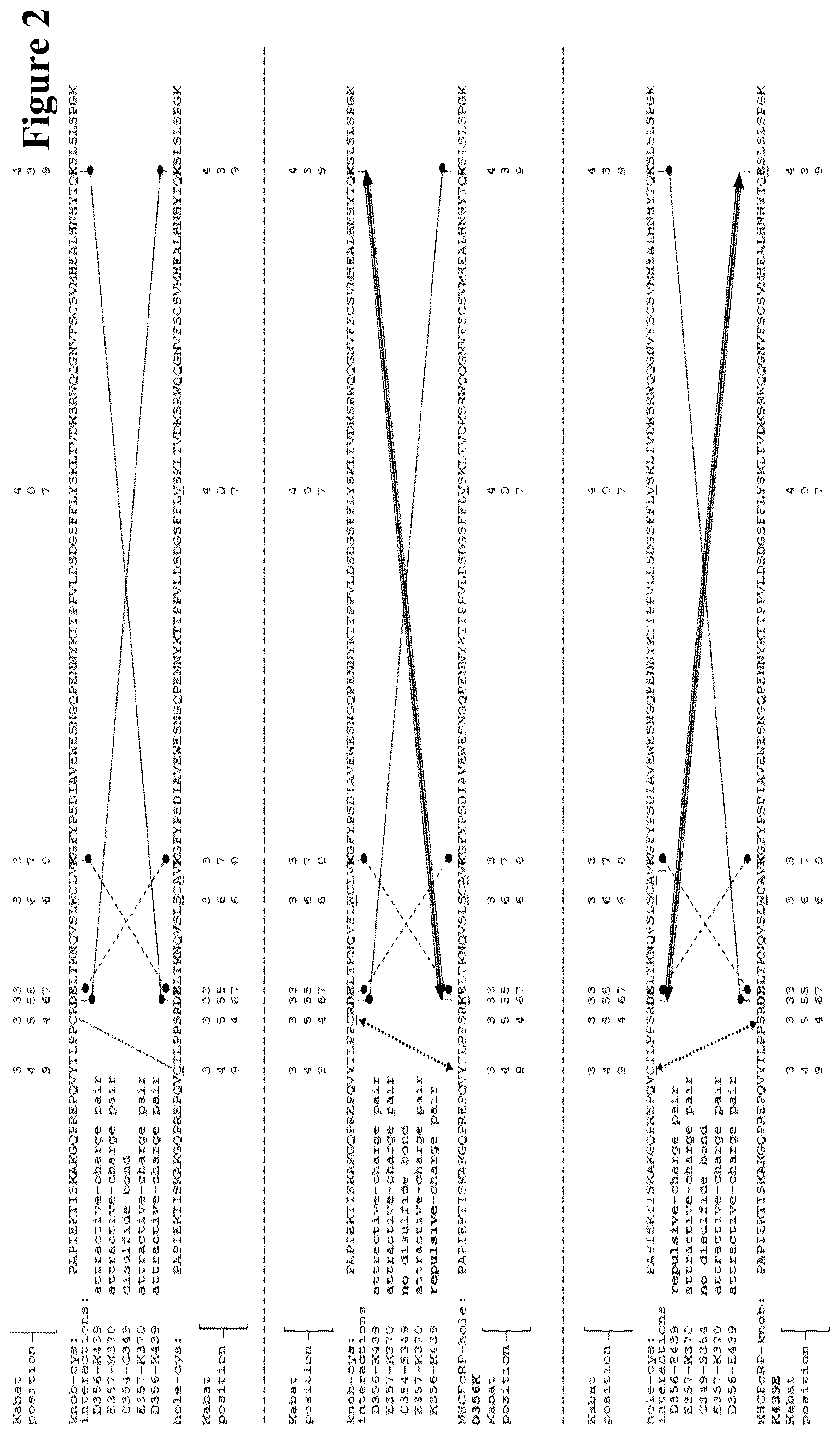 Patent US12297290 Figure 2 – Method for generating multispecific antibodies from monospecific antibodies