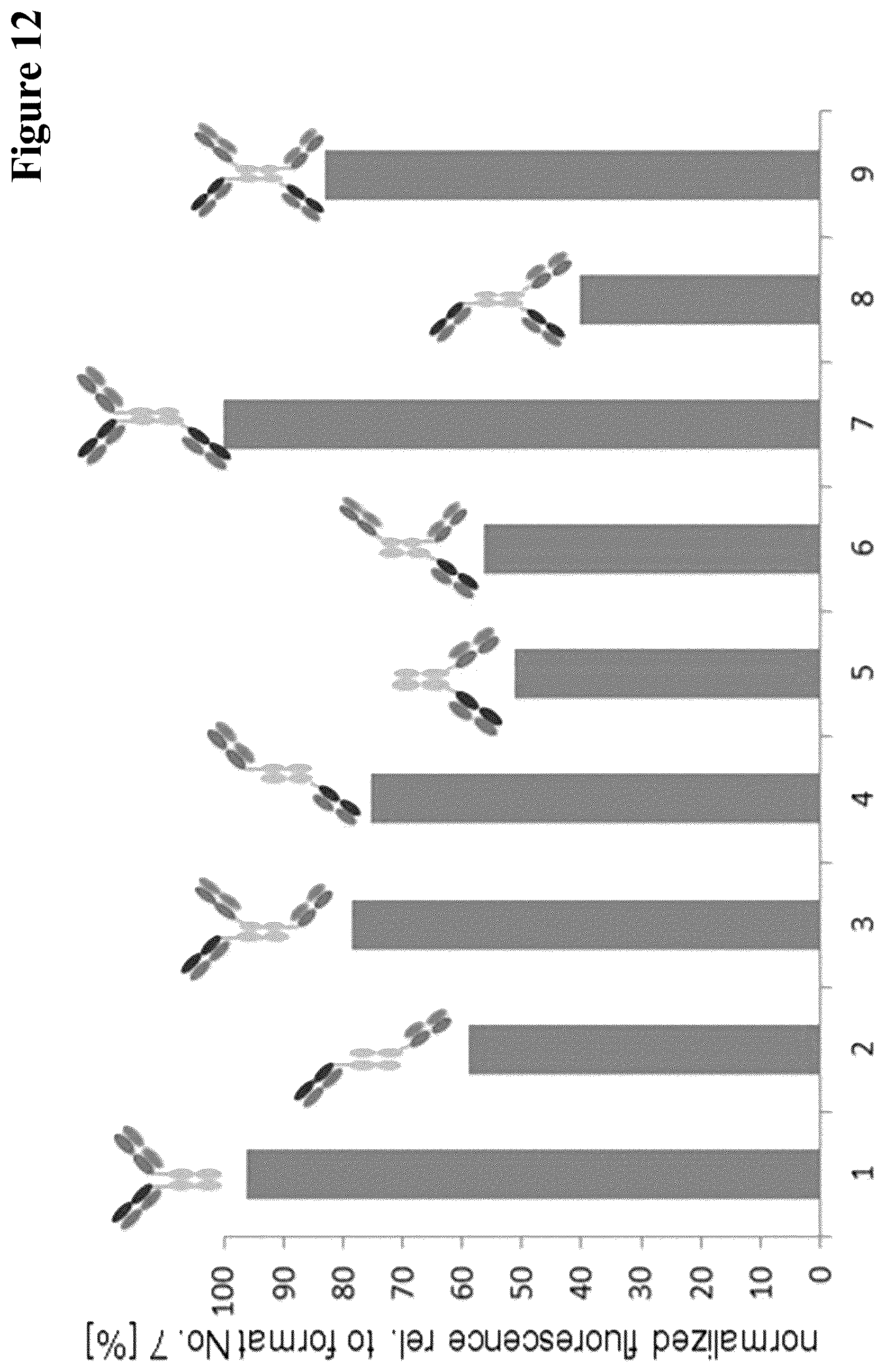 Patent US12297290 Figure 12 – Method for generating multispecific antibodies from monospecific antibodies