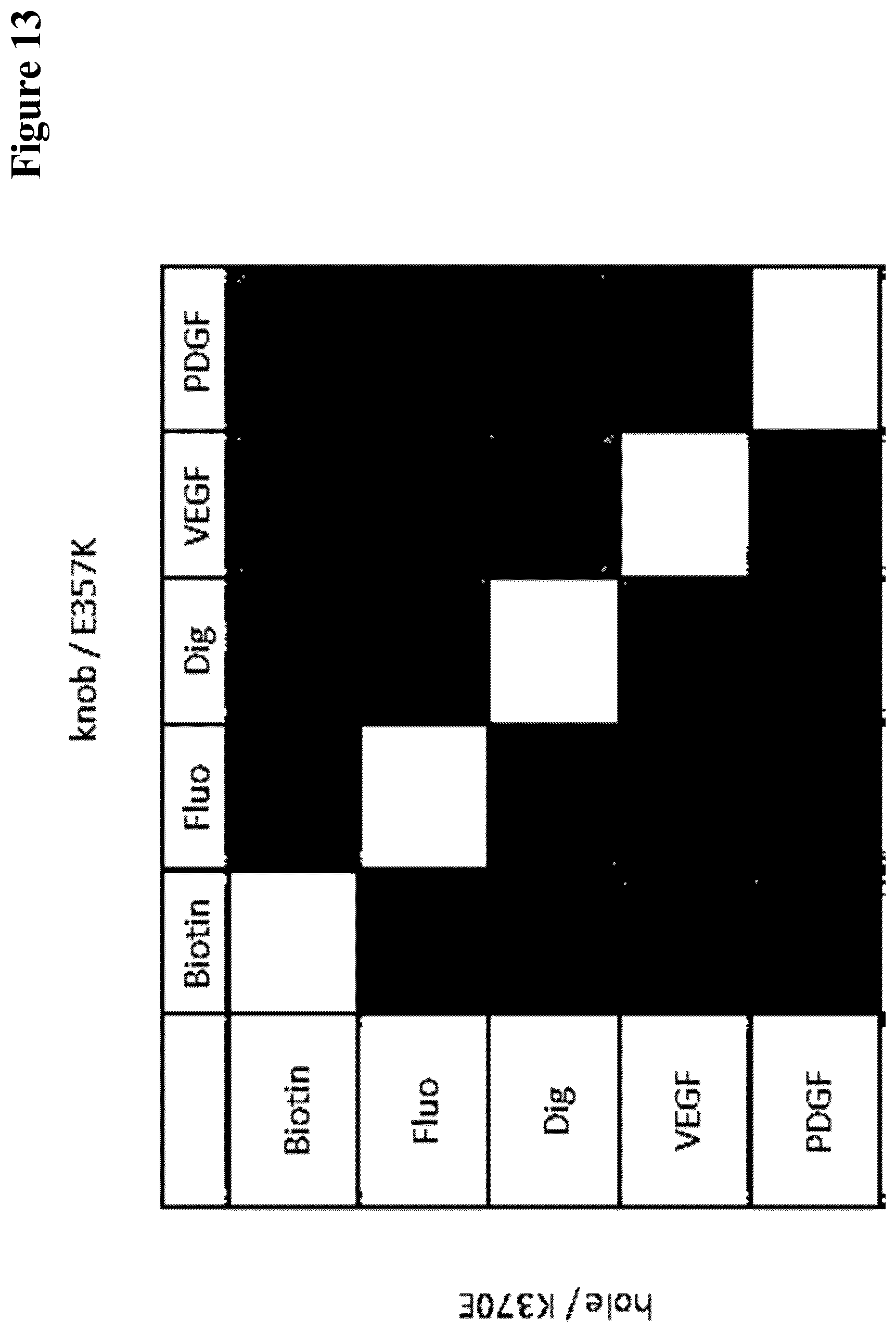 Patent US12297290 Figure 13 – Method for generating multispecific antibodies from monospecific antibodies