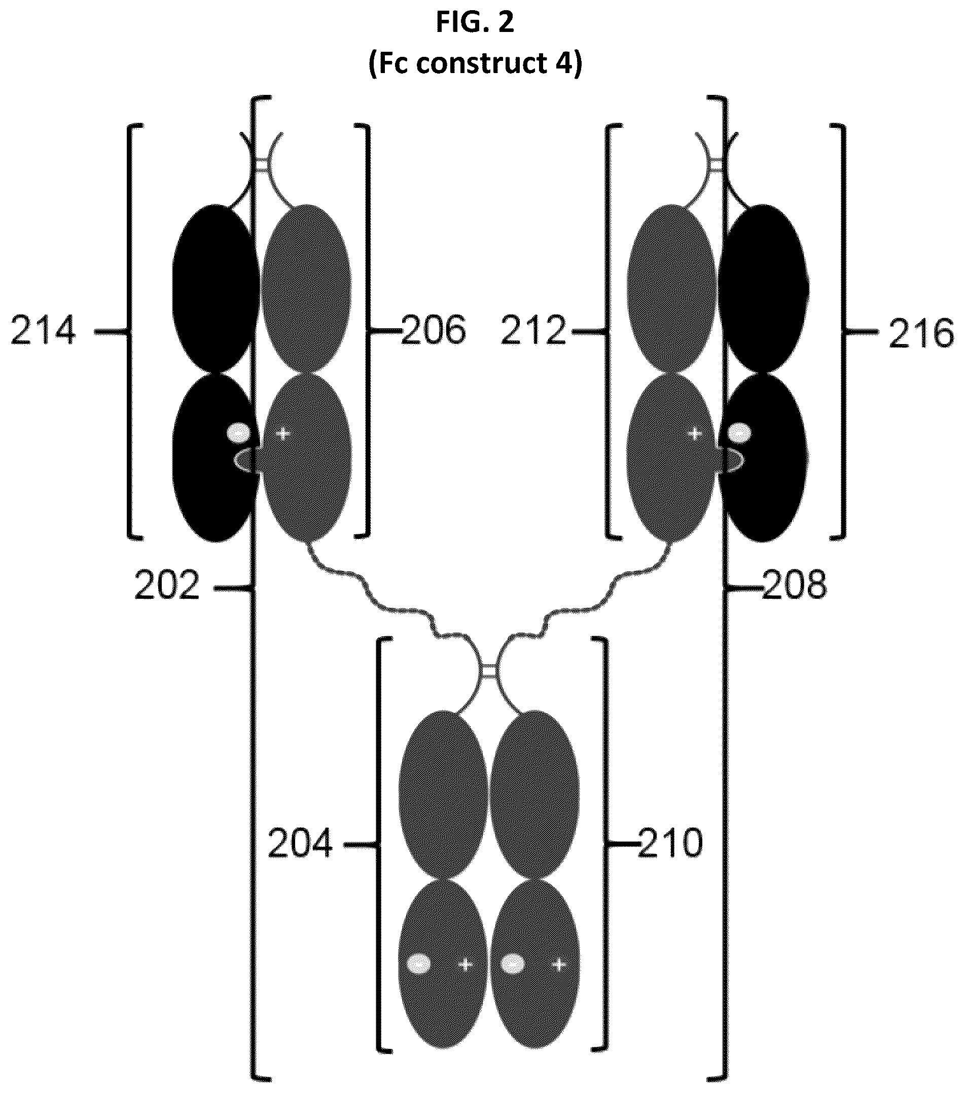 Patent US12297291 Figure 2 – Compositions and methods related to engineered Fc constructs