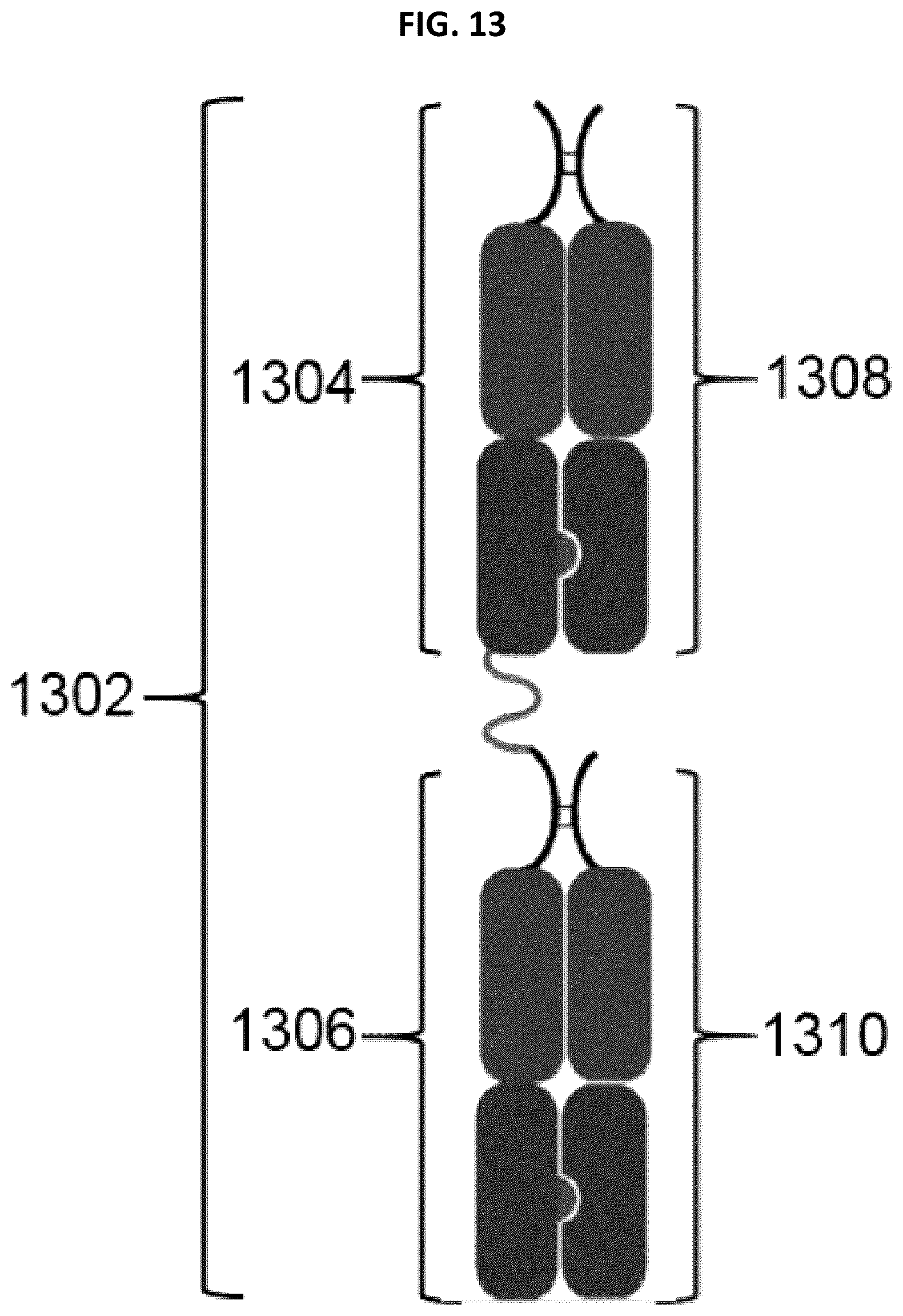 Patent US12297291 Figure 13 – Compositions and methods related to engineered Fc constructs