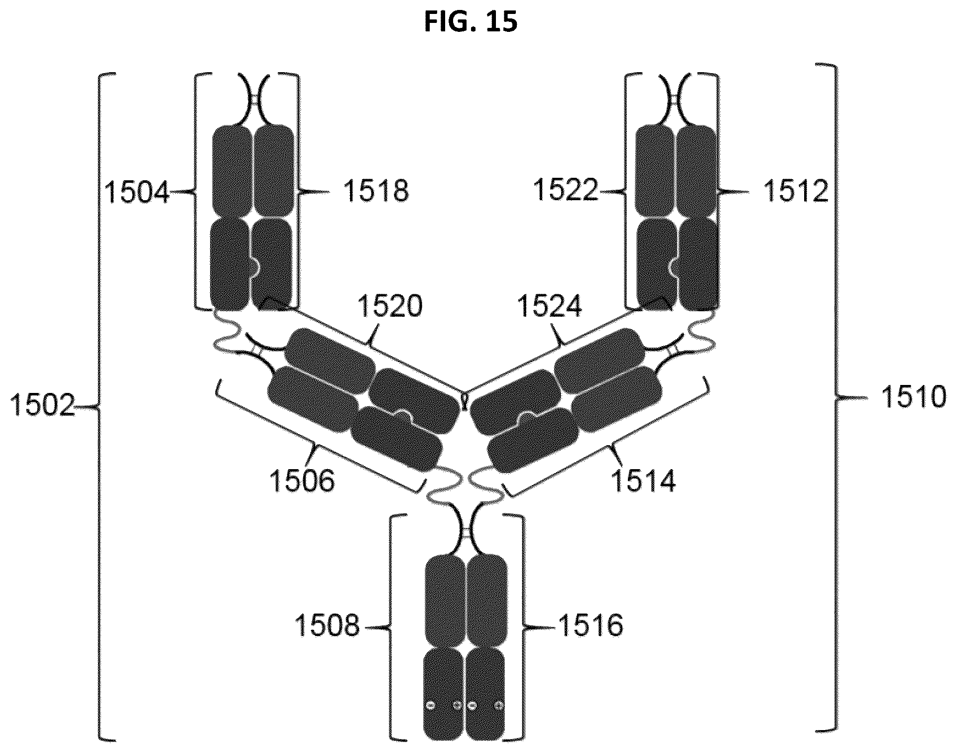 Patent US12297291 Figure 15 – Compositions and methods related to engineered Fc constructs