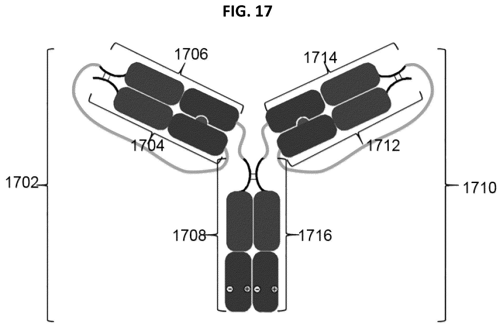 Patent US12297291 Figure 17 – Compositions and methods related to engineered Fc constructs