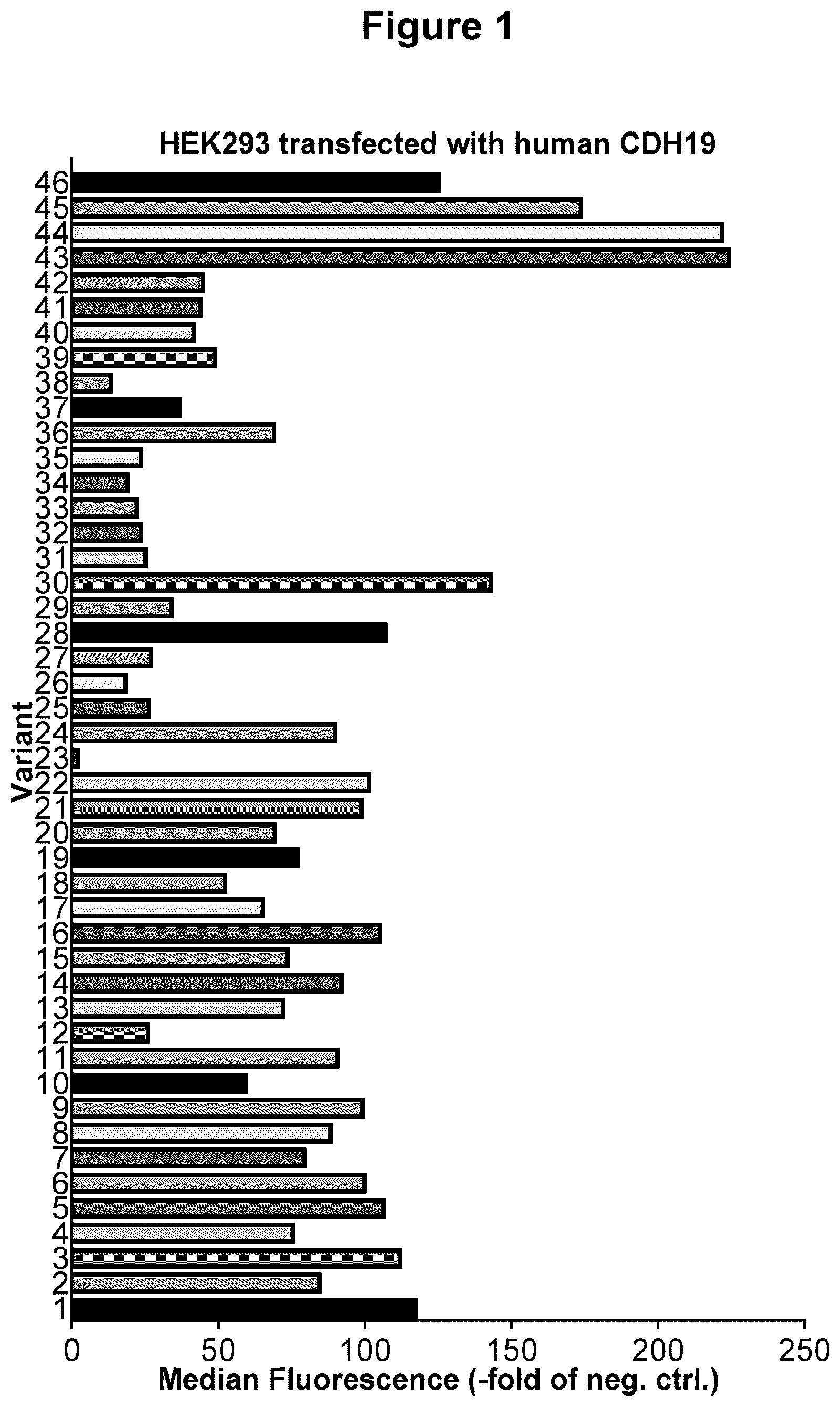 Patent US12297292 Figure 1 – Antibody constructs for CDH19 and CD3