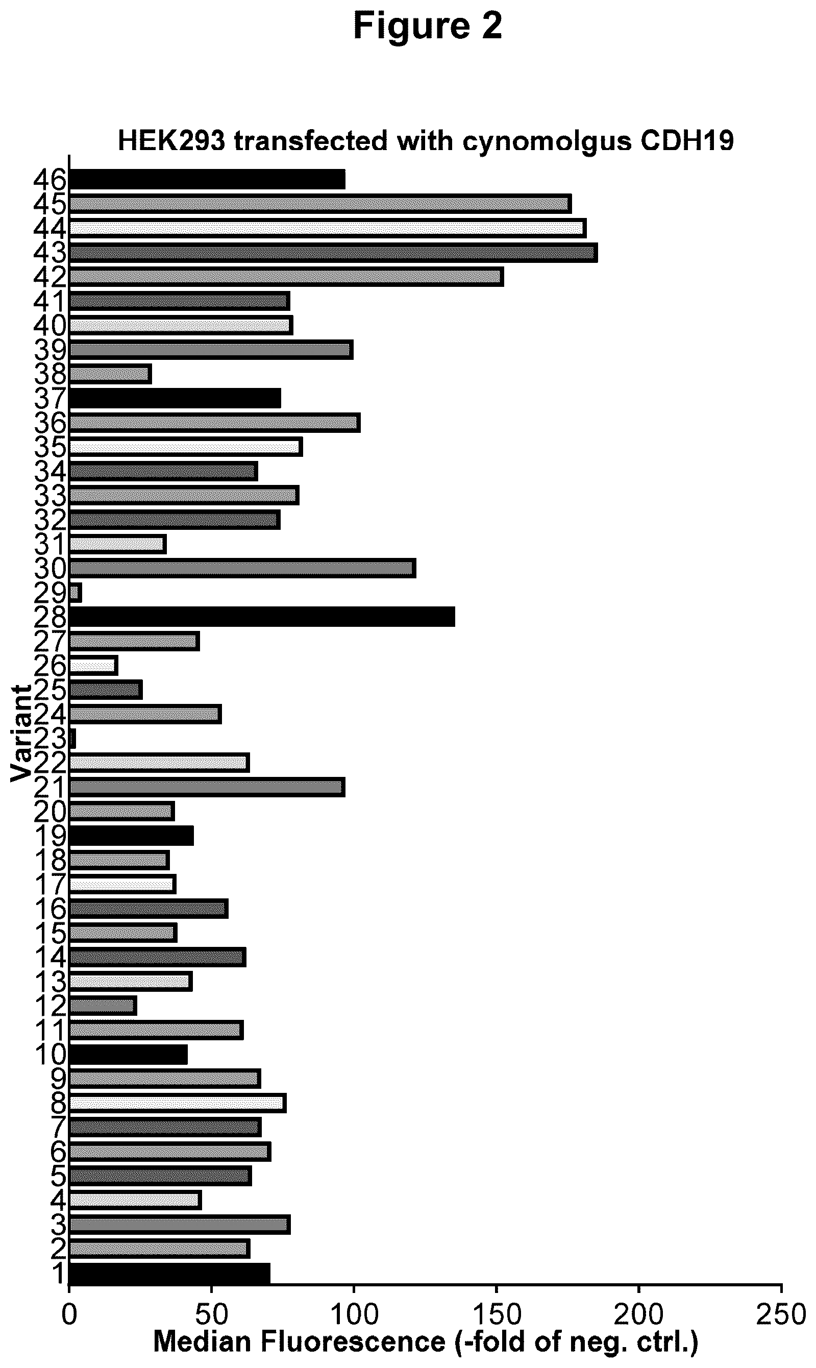 Patent US12297292 Figure 2 – Antibody constructs for CDH19 and CD3