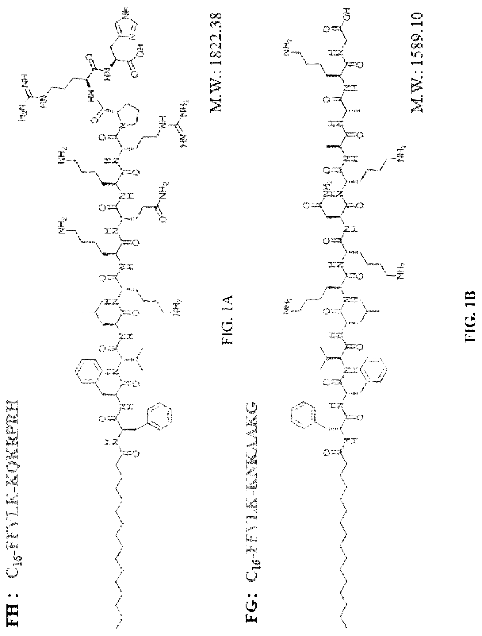 Patent US12297296 — Nano small peptide and its use in preparation of drugs for treating and preventing fundus vascular diseases — Figure 1