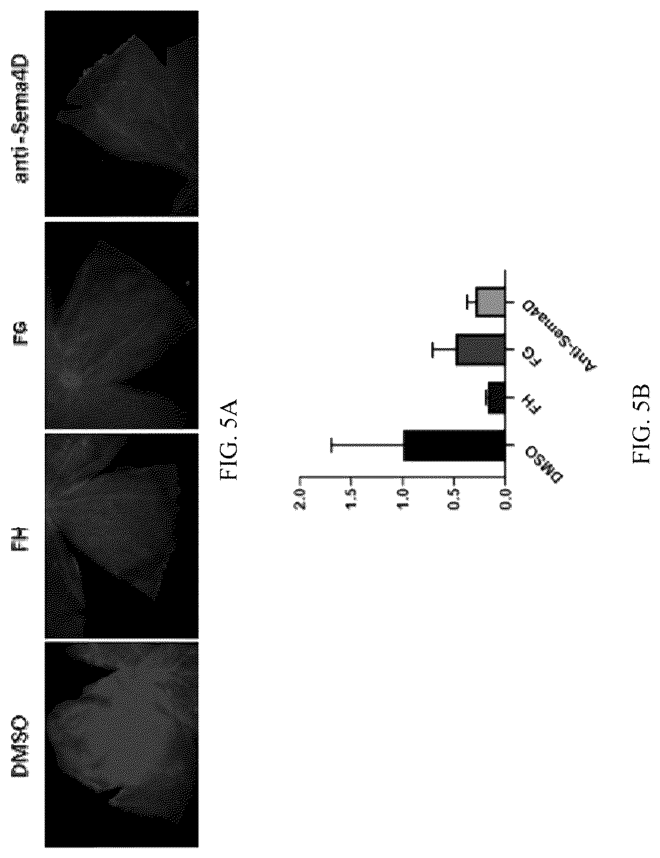 Patent US12297296 Figure 5 – Nano small peptide and its use in preparation of drugs for treating and preventing fundus vascular diseases