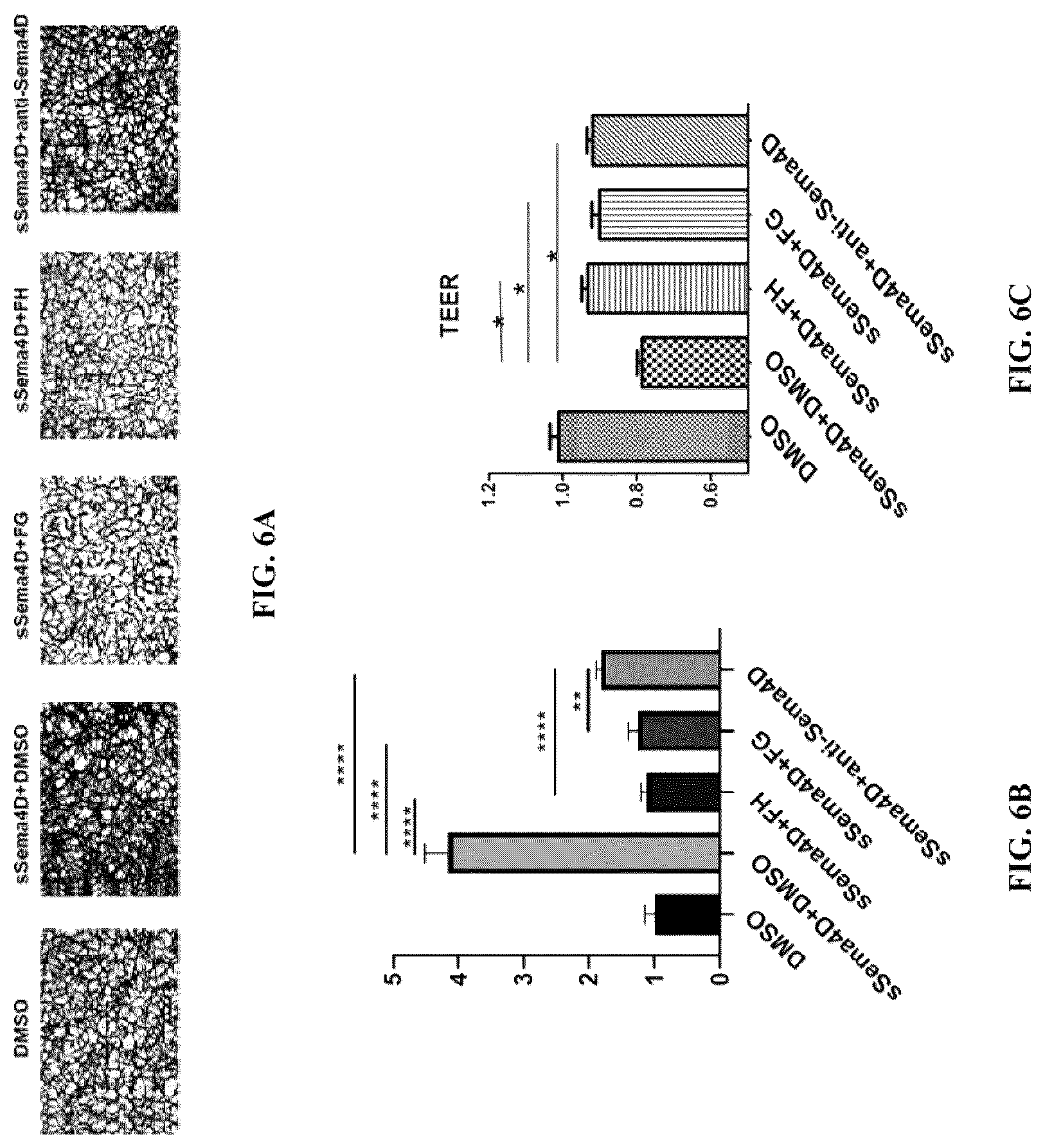 Patent US12297296 Figure 6 – Nano small peptide and its use in preparation of drugs for treating and preventing fundus vascular diseases