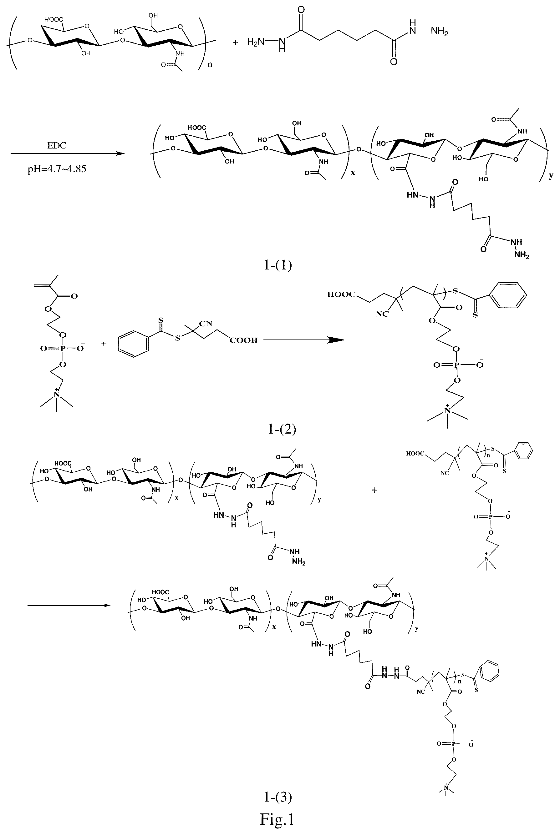 Patent US12297300 Figure 1 – Hyaluronic acid-based zwitterionic polymer brush, preparation method thereof, and use thereof