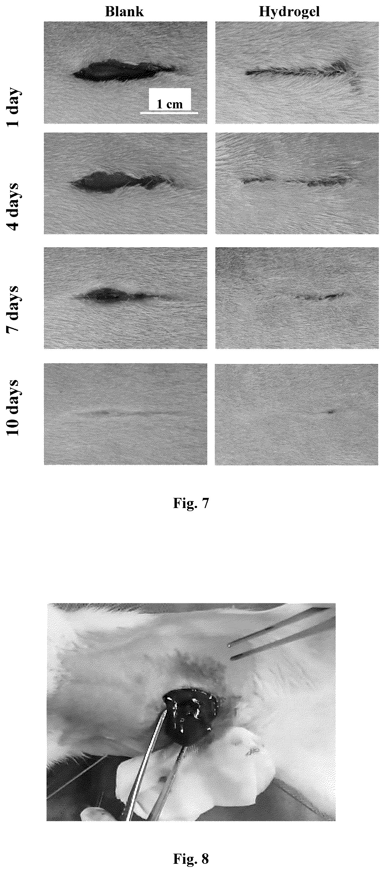 Patent US12297320 Figure 4 – Polyethylene glycol derivative, preparation method thereof, and polyethylene glycol hydrogel capable of producing a rapid crosslinking reaction