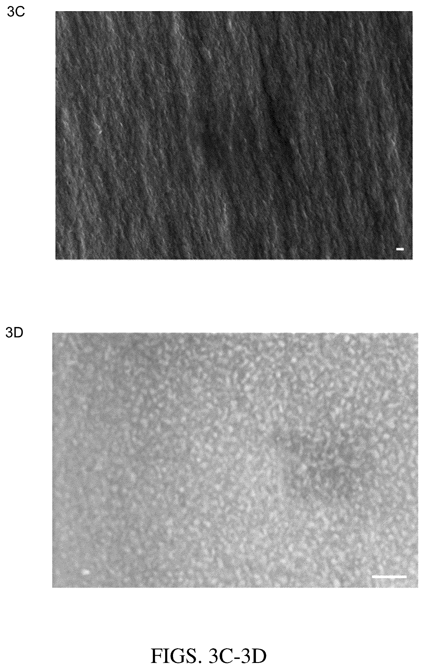 Patent US12297322 Figure 8 – Triazine-based membranes for gas separation